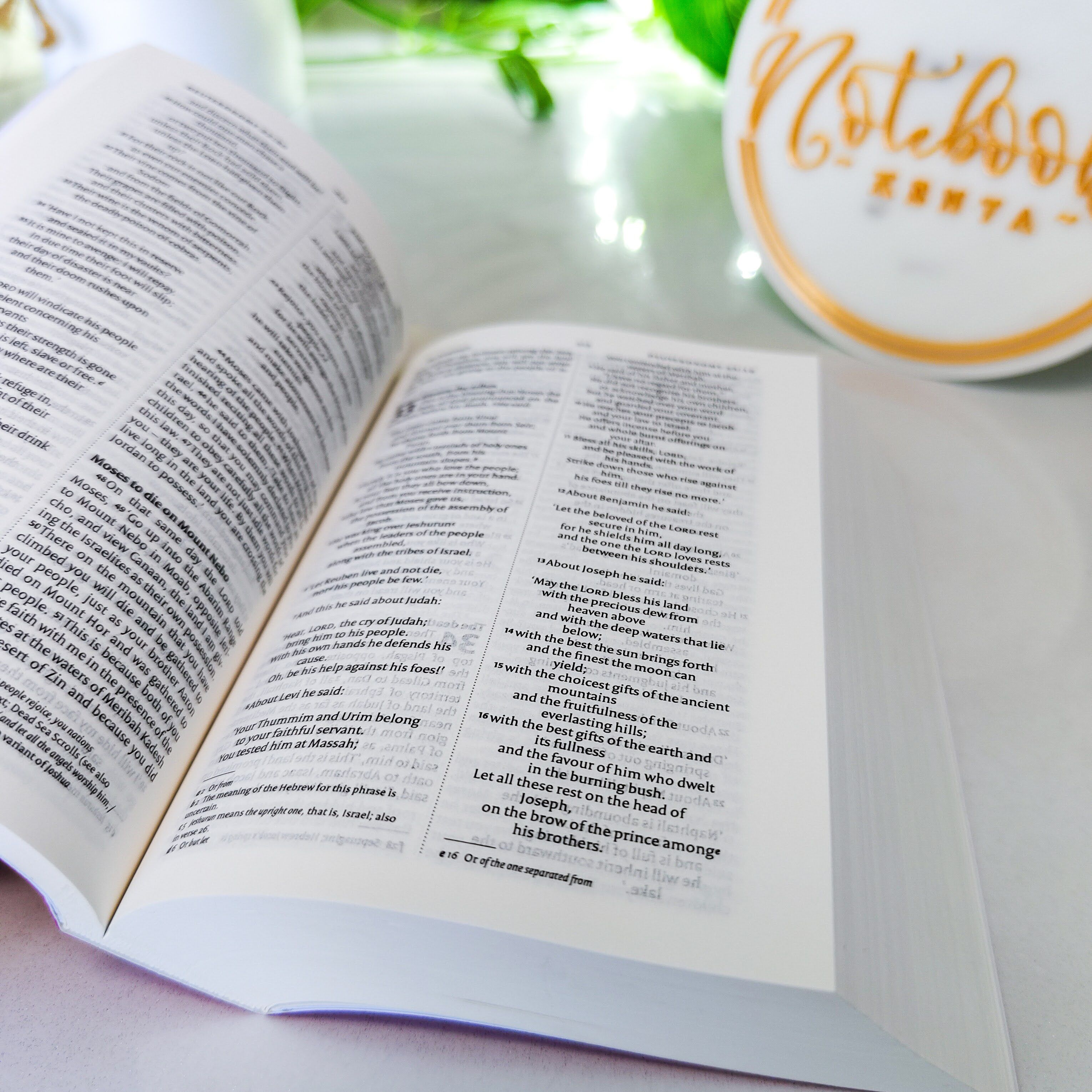 Mini NIV Pocket Bible | Pink Paper Back (Gold Lettering) | New International Version(NIV) | Gift | Concordance Bible | Small Bible | Words In Red