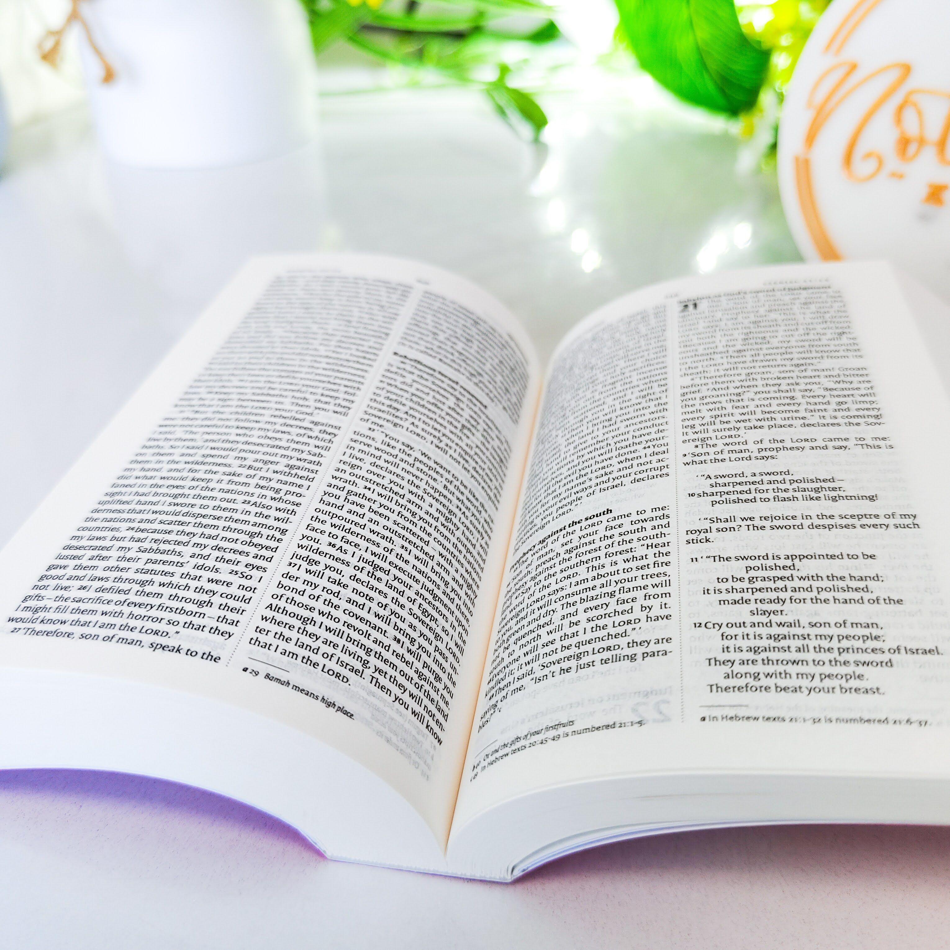 Mini NIV Pocket Bible | Pink Paper Back (Gold Lettering) | New International Version(NIV) | Gift | Concordance Bible | Small Bible | Words In Red