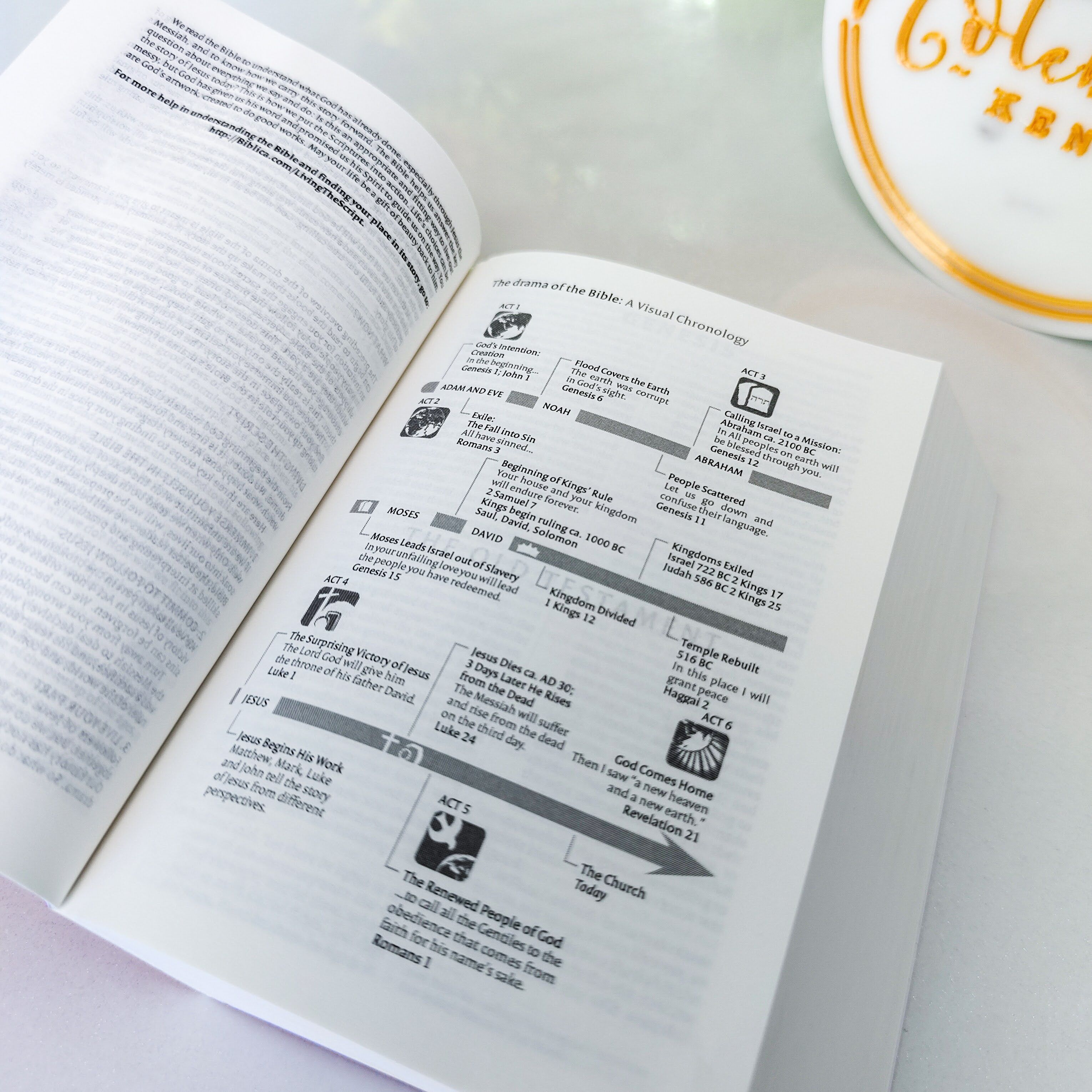 Mini NIV Pocket Bible | Pink Paper Back (Gold Lettering) | New International Version(NIV) | Gift | Concordance Bible | Small Bible | Words In Red