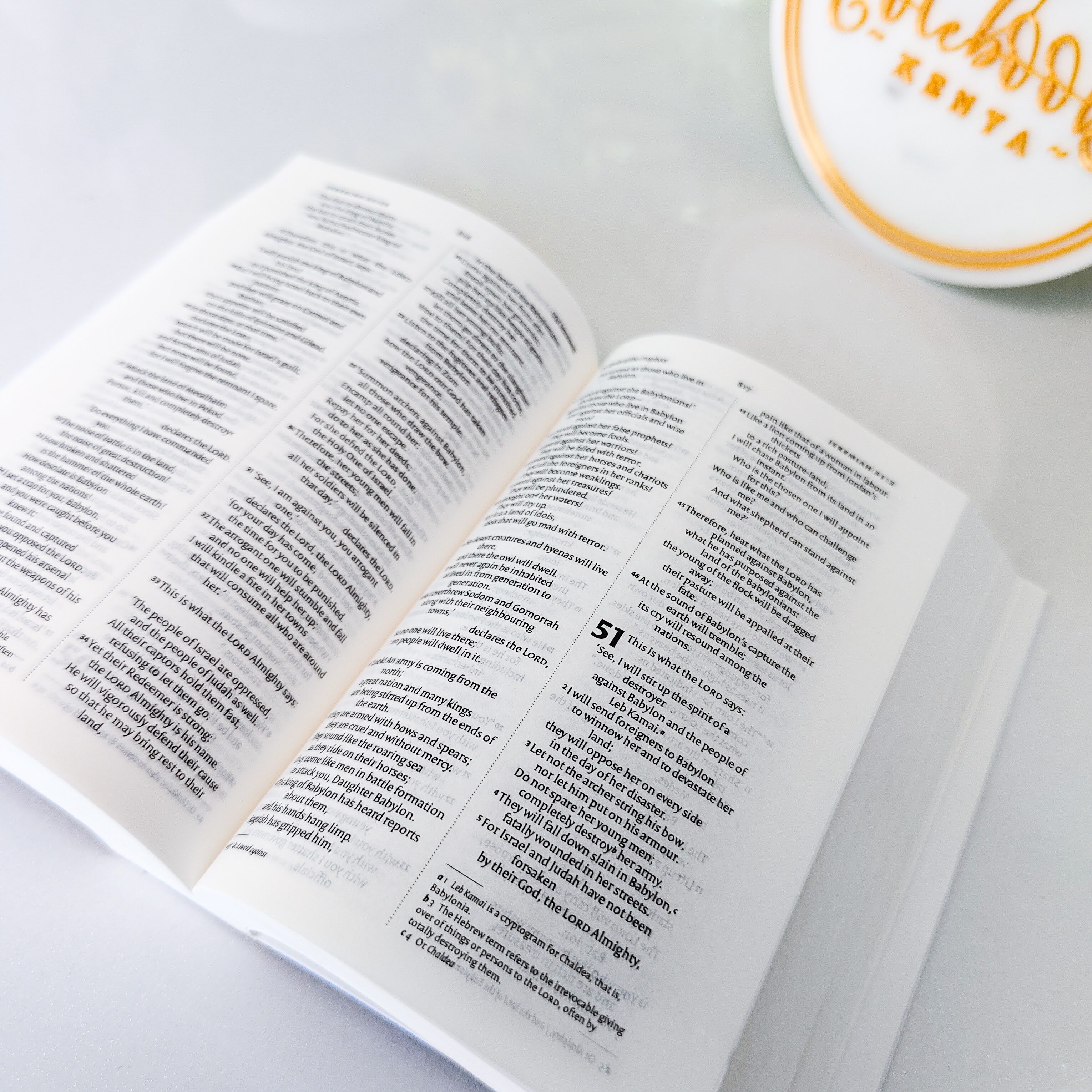 Mini NIV Pocket Bible | Pink Paper Back (Gold Lettering) | New International Version(NIV) | Gift | Concordance Bible | Small Bible | Words In Red