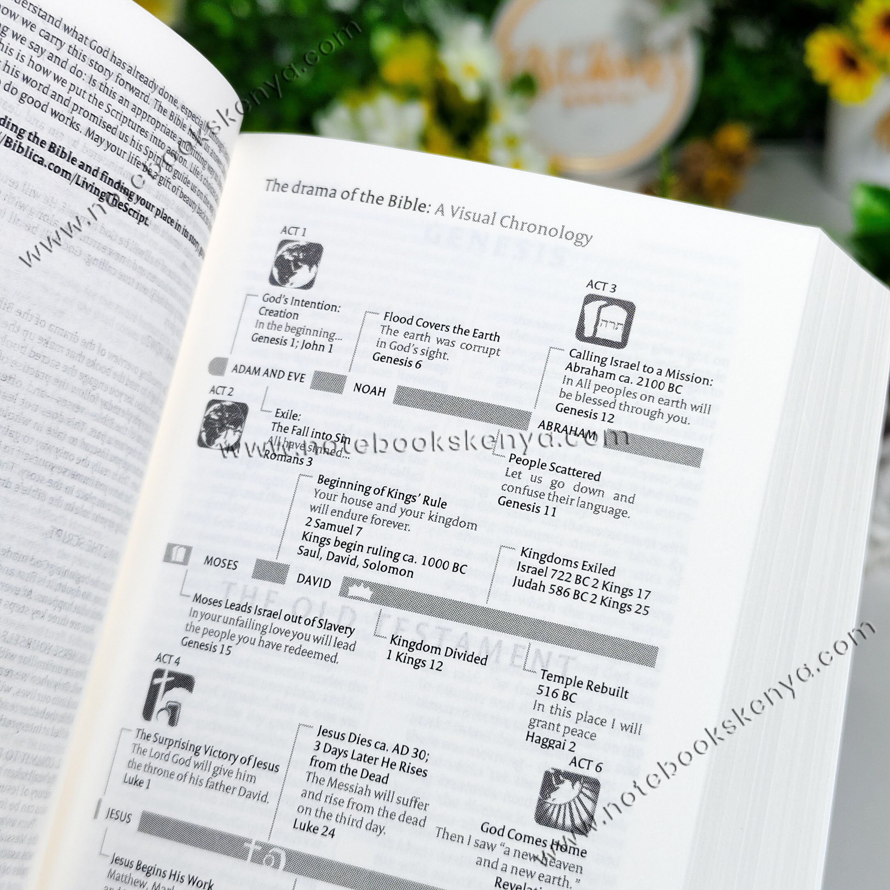 Mini NIV Pocket Bible | Pink Paper Back (Gold Lettering) | New International Version(NIV) | Gift | Concordance Bible | Small Bible | Words In Red