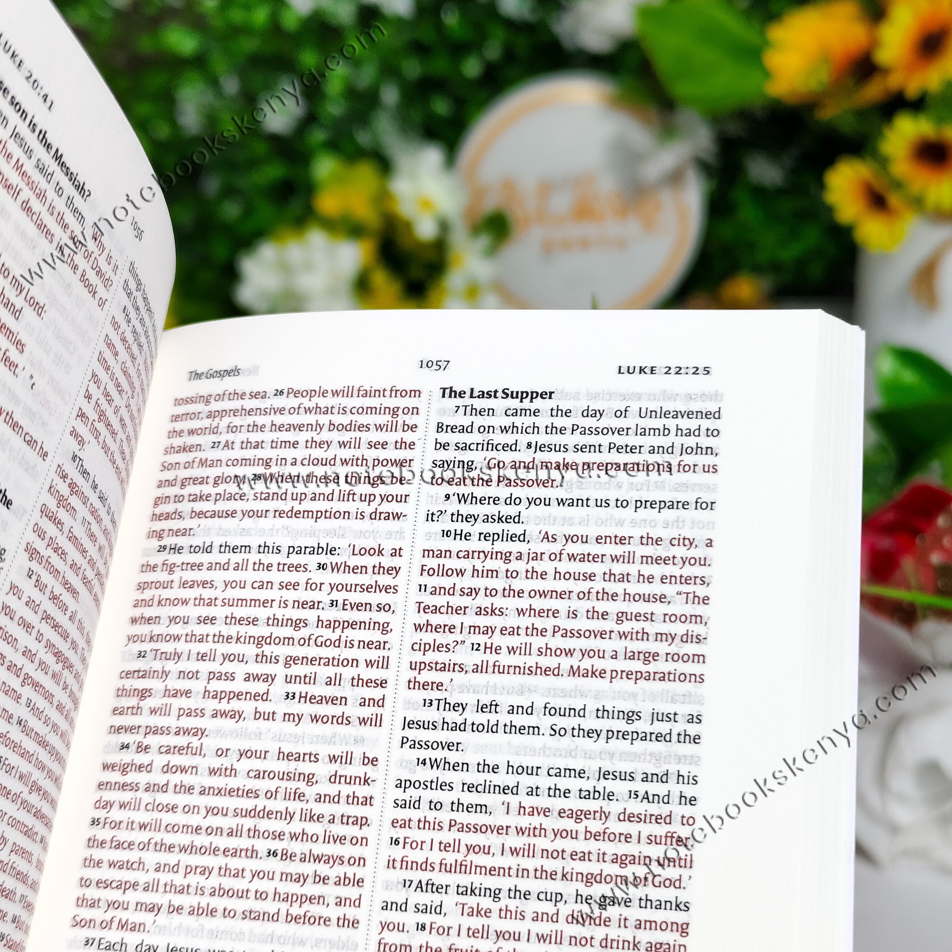 Mini NIV Pocket Bible | Pink Paper Back (Gold Lettering) | New International Version(NIV) | Gift | Concordance Bible | Small Bible | Words In Red