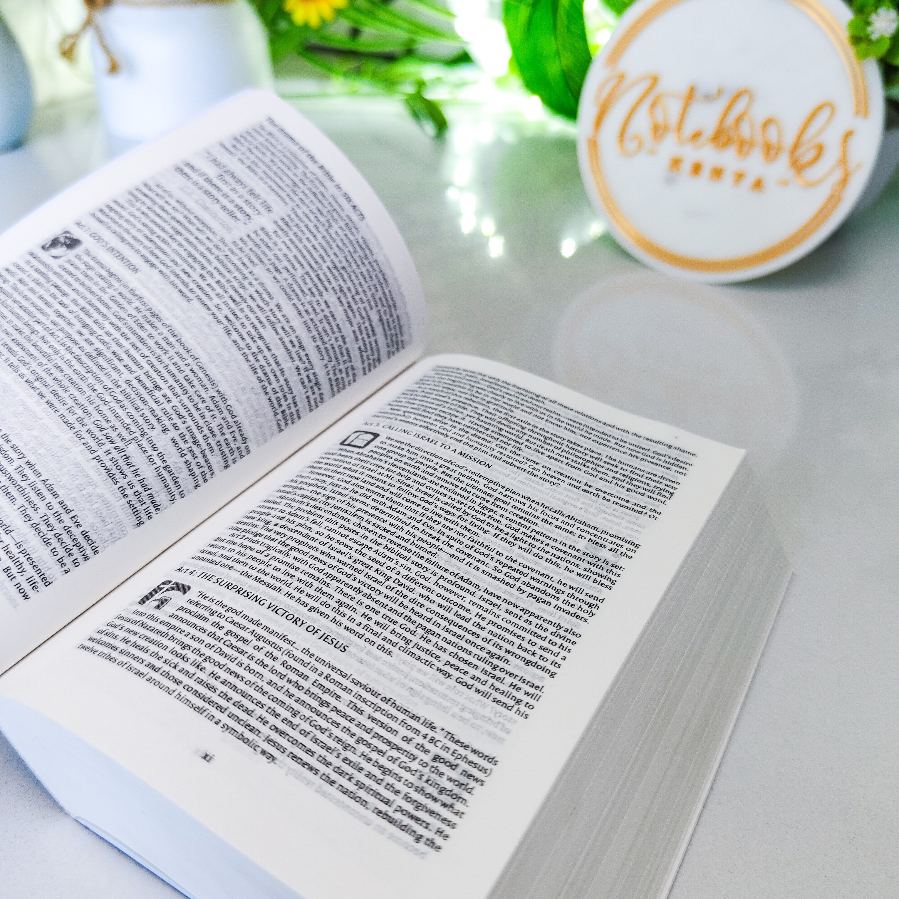 Mini NIV Pocket Bible | Pink Paper Back (Gold Lettering) | New International Version(NIV) | Gift | Concordance Bible | Small Bible | Words In Red