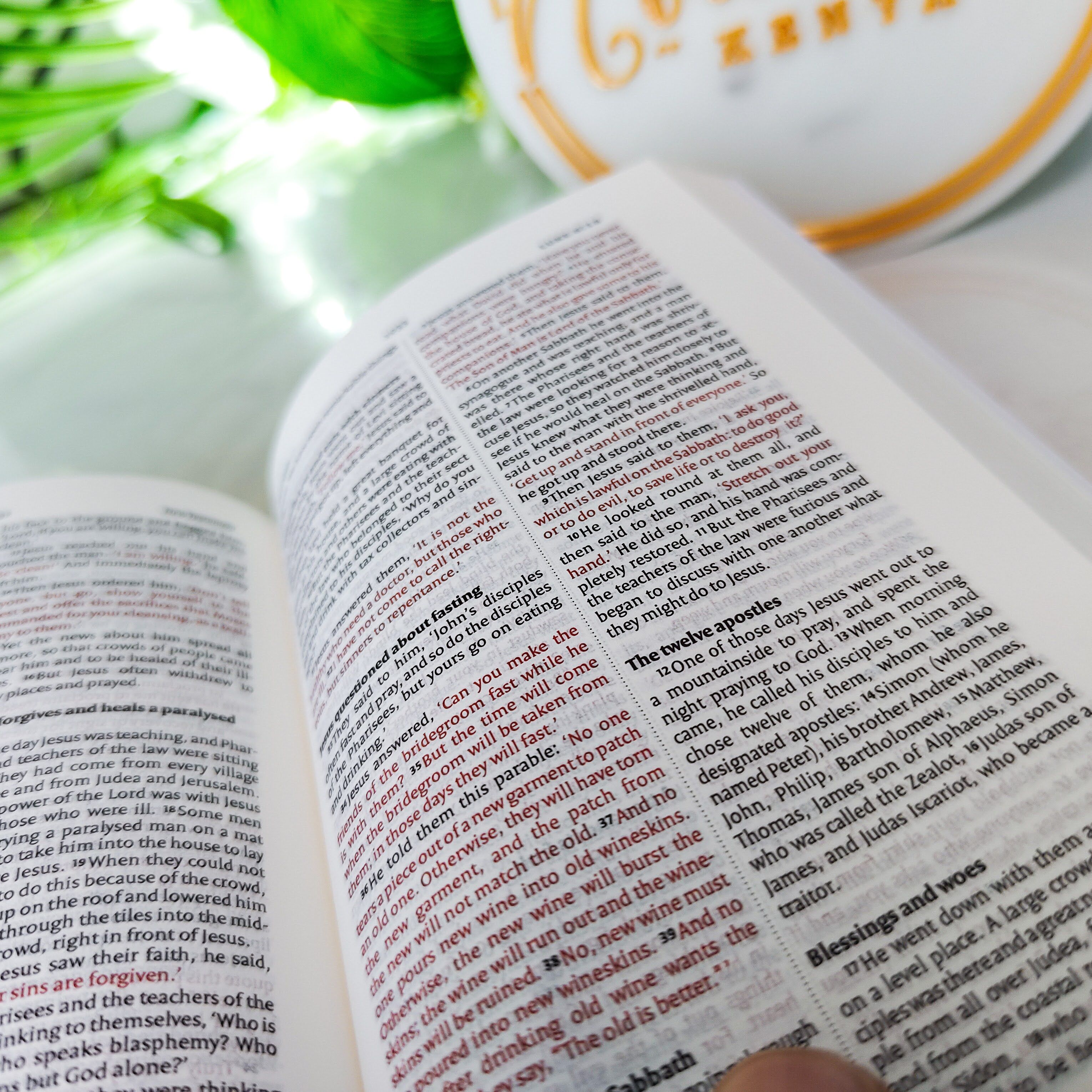 Mini NIV Pocket Bible | Pink Paper Back (Gold Lettering) | New International Version(NIV) | Gift | Concordance Bible | Small Bible | Words In Red