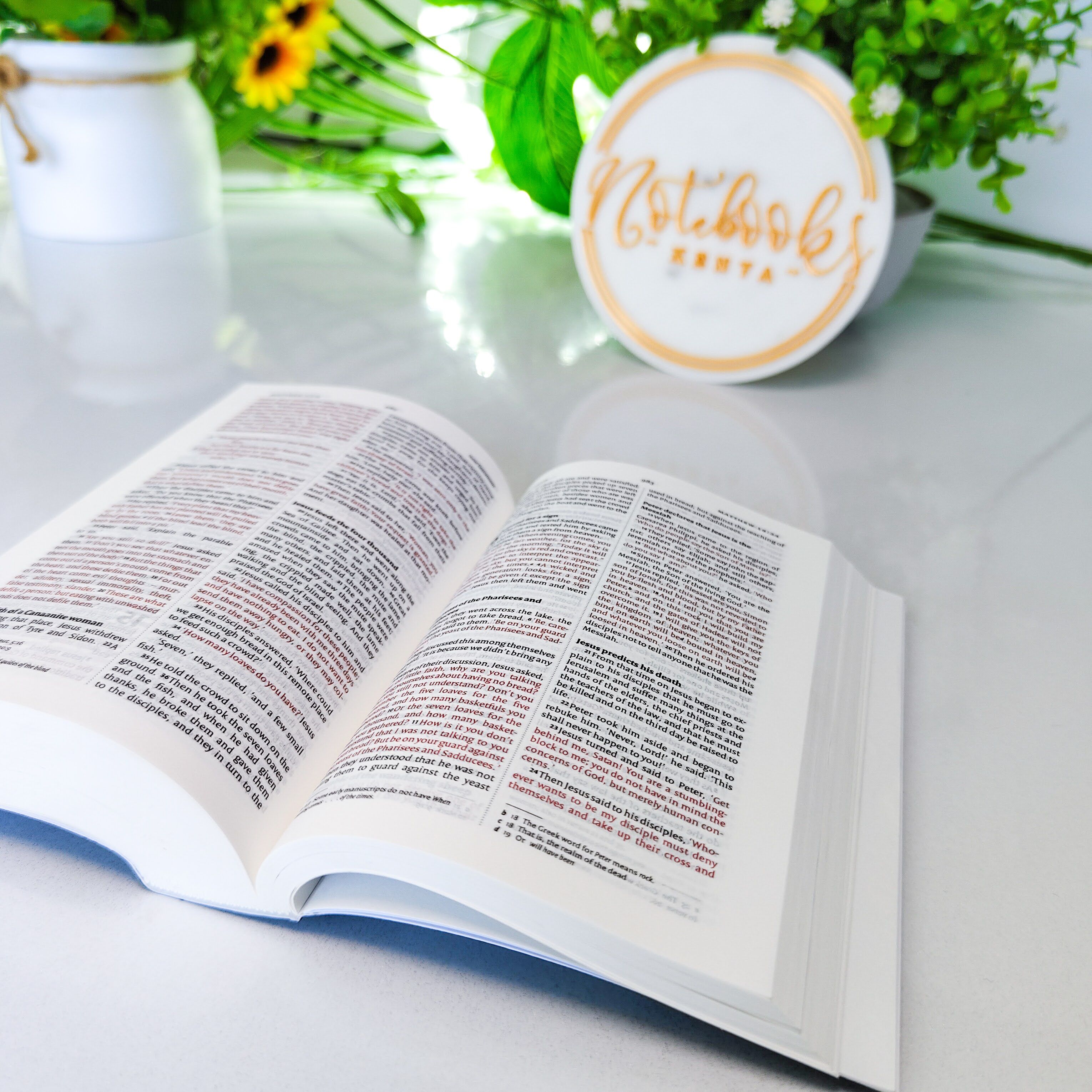 Mini NIV Pocket Bible | Pink Paper Back (Gold Lettering) | New International Version(NIV) | Gift | Concordance Bible | Small Bible | Words In Red