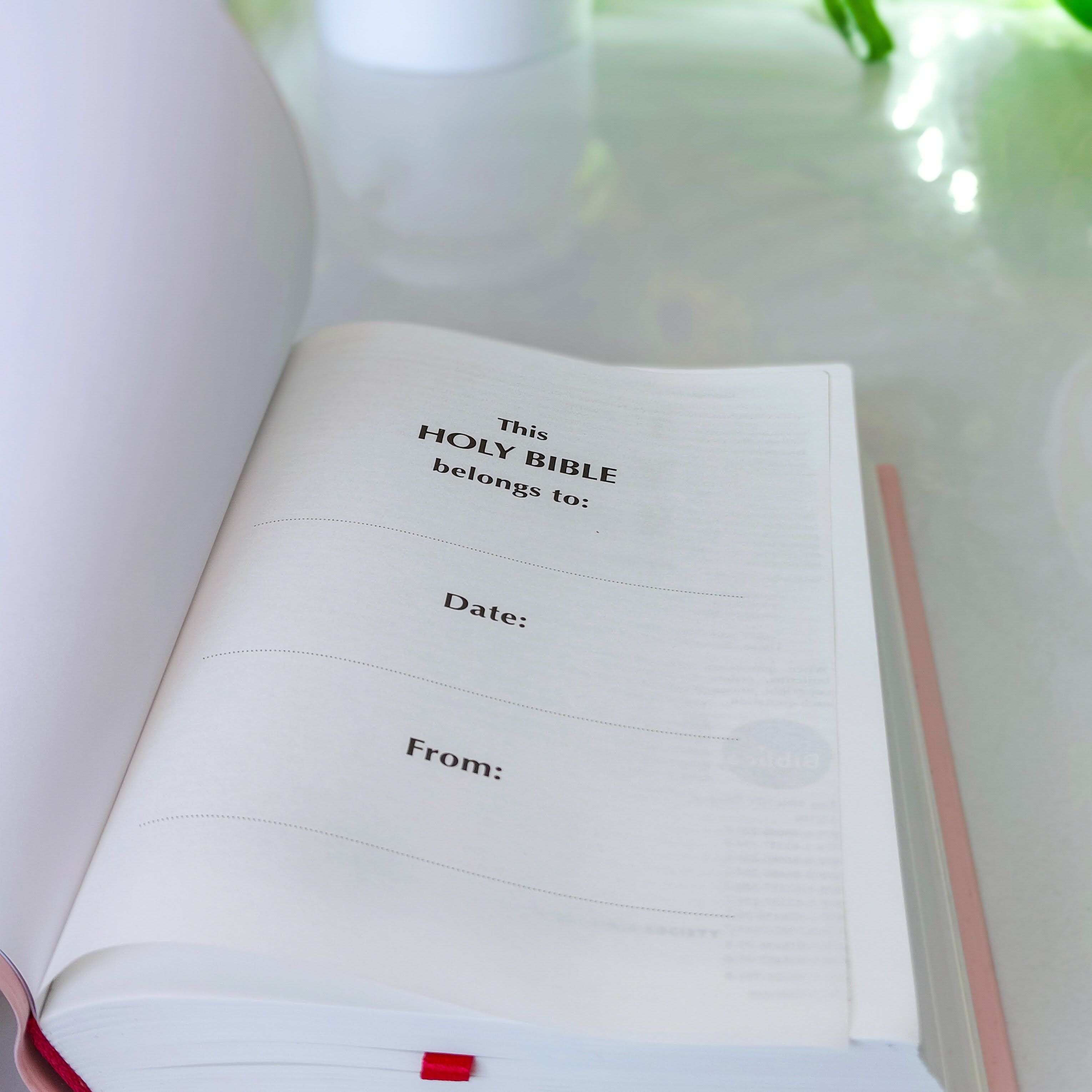 Mini NIV Pocket Bible | Pink Vinyl Leather (Gold Lettering) | New International Version(NIV) | Gift | Concordance Bible | Small Bible | Words In Red