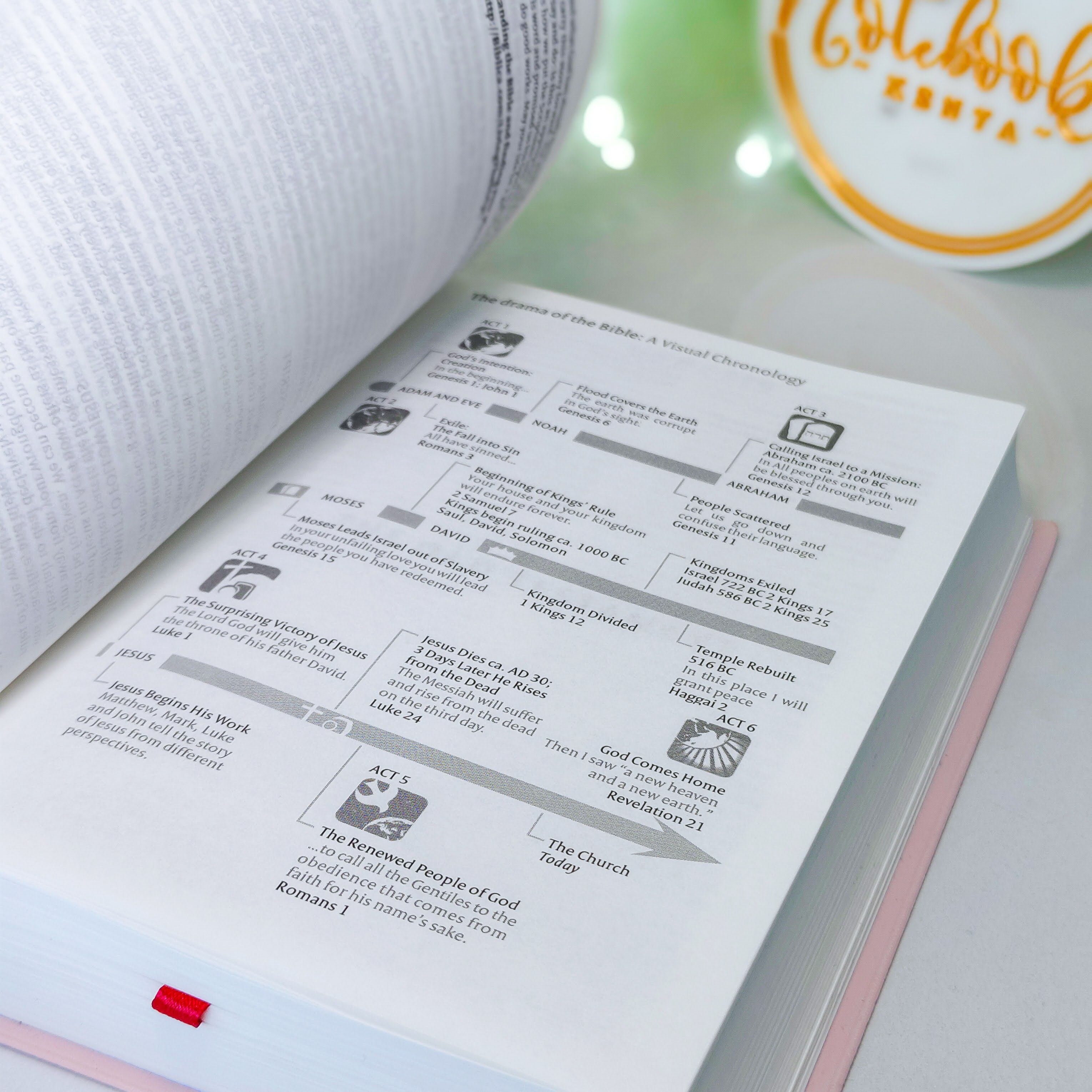 Mini NIV Pocket Bible | Pink Vinyl Leather (Gold Lettering) | New International Version(NIV) | Gift | Concordance Bible | Small Bible | Words In Red