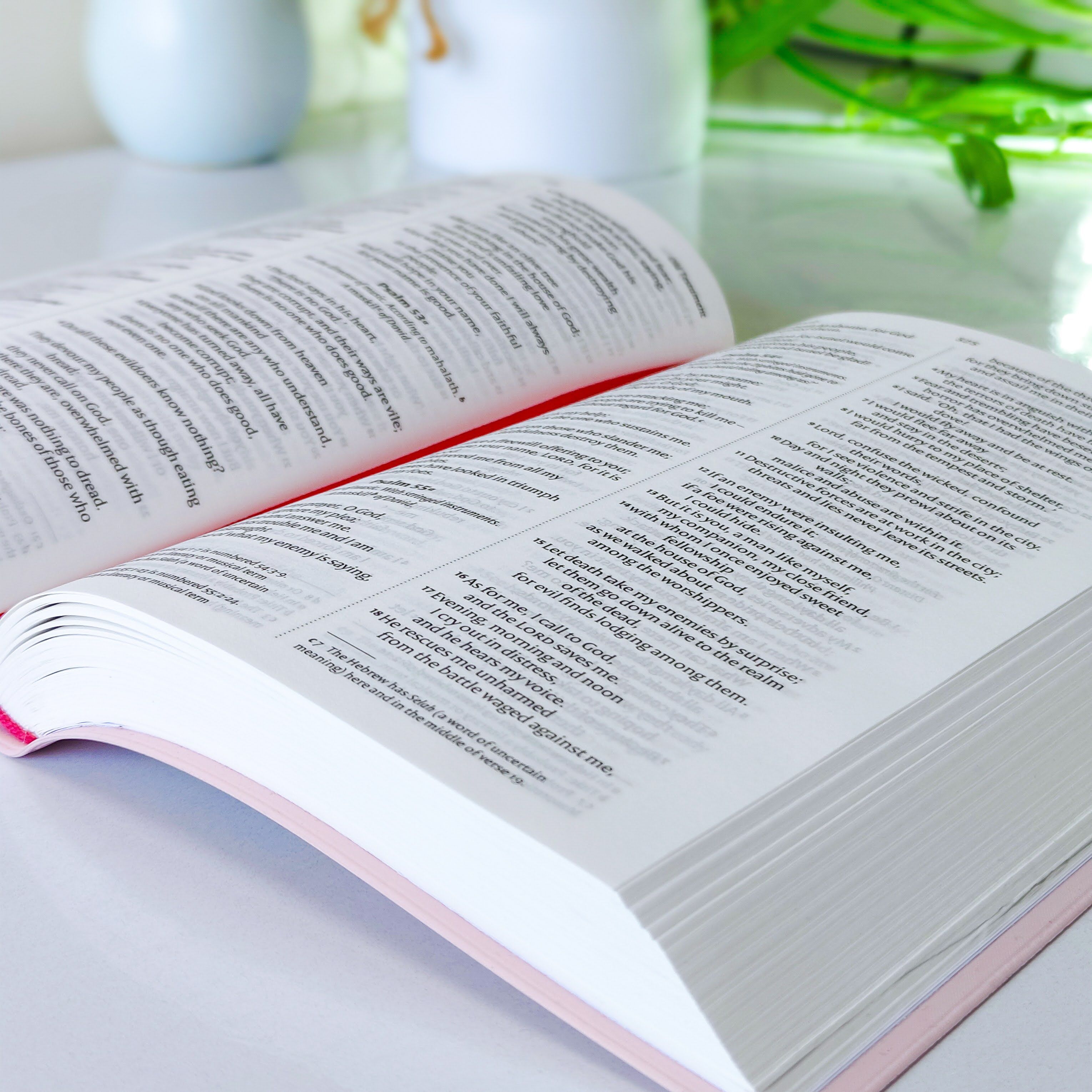 Mini NIV Pocket Bible | Pink Vinyl Leather (Gold Lettering) | New International Version(NIV) | Gift | Concordance Bible | Small Bible | Words In Red