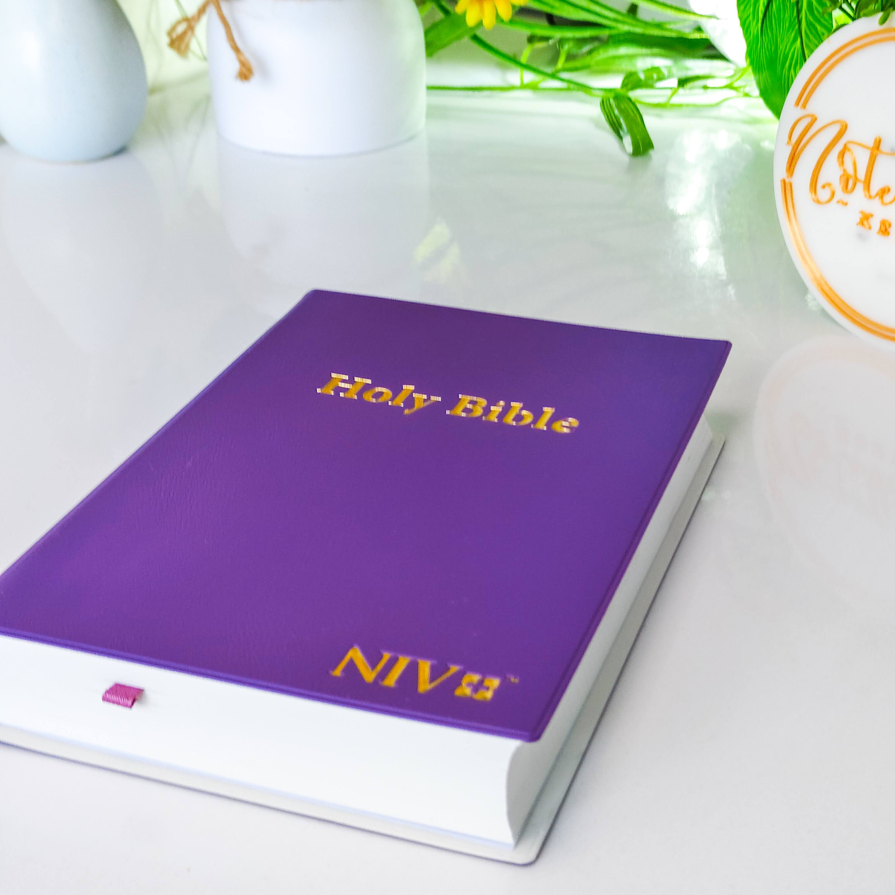 NIV Standard Bible | Purple Vinyl Leather (Gold Lettering) | Christian Bible NIV | The New International Version (NIV) | Gift Idea | Pink Bible | Blue Bible | Bible with Button