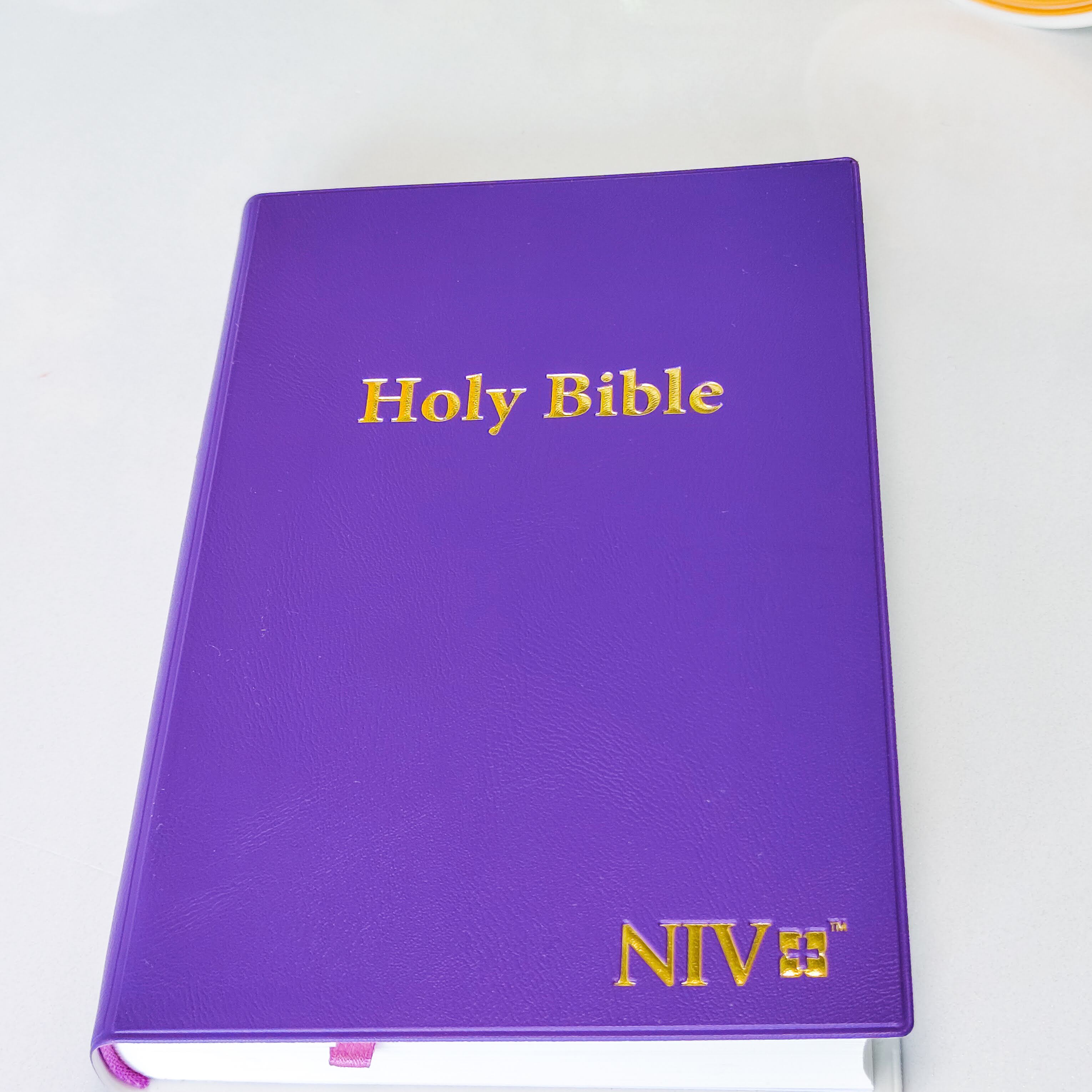 NIV Standard Bible | Purple Vinyl Leather (Gold Lettering) | Christian Bible NIV | The New International Version (NIV) | Gift Idea | Pink Bible | Blue Bible | Bible with Button