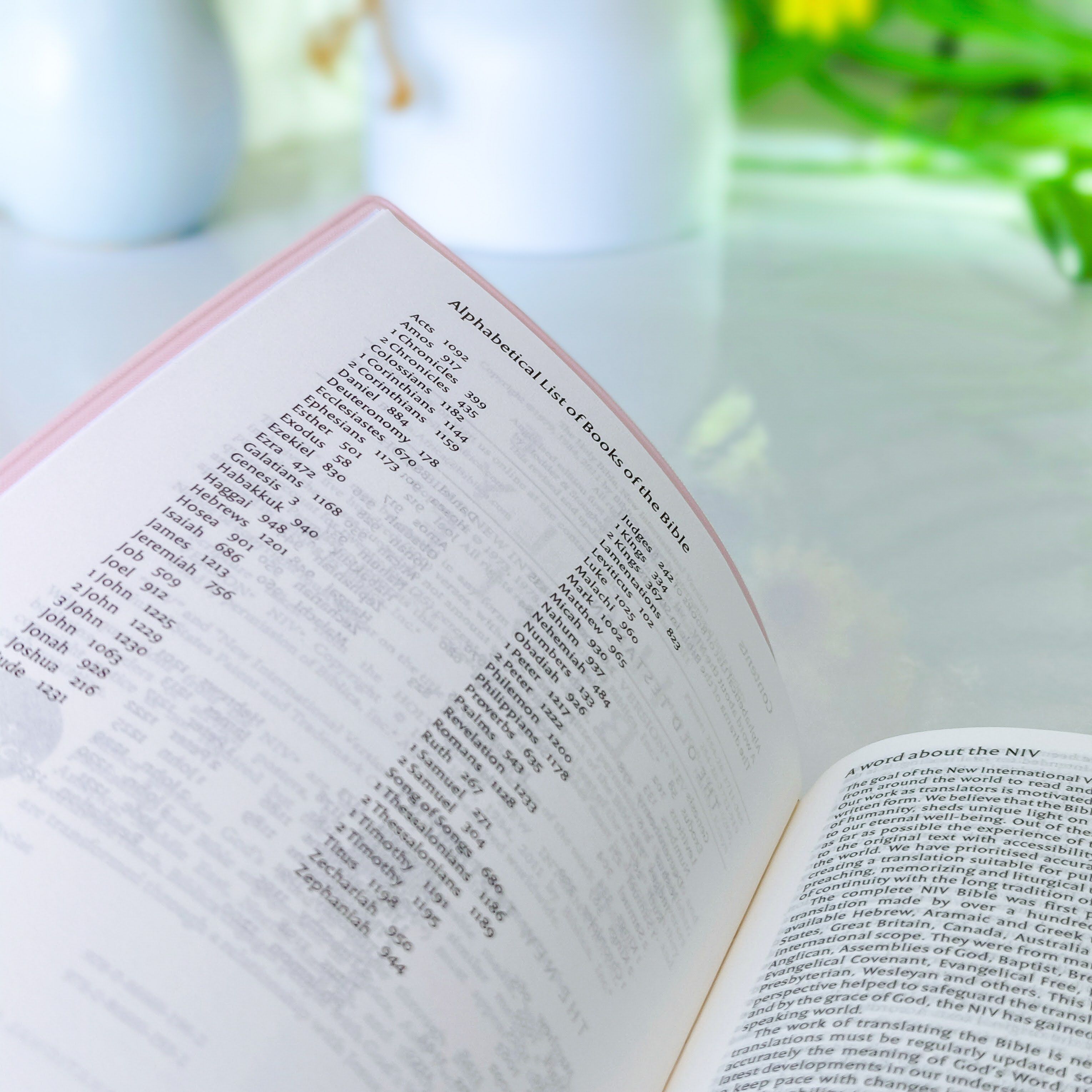 NIV Standard Bible | Purple Vinyl Leather (Gold Lettering) | Christian Bible NIV | The New International Version (NIV) | Gift Idea | Pink Bible | Blue Bible | Bible with Button