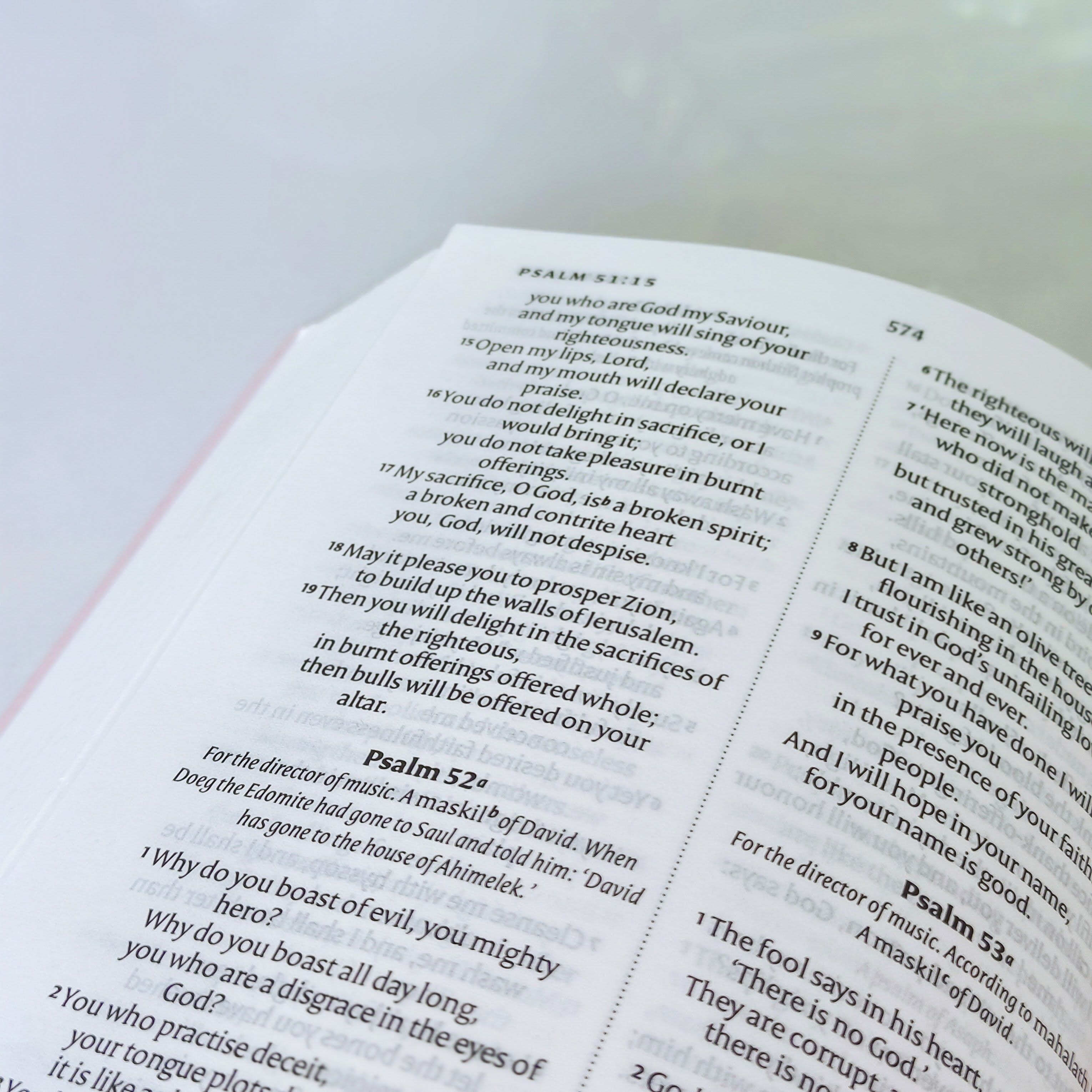 NIV Standard Bible | Purple Vinyl Leather (Gold Lettering) | Christian Bible NIV | The New International Version (NIV) | Gift Idea | Pink Bible | Blue Bible | Bible with Button