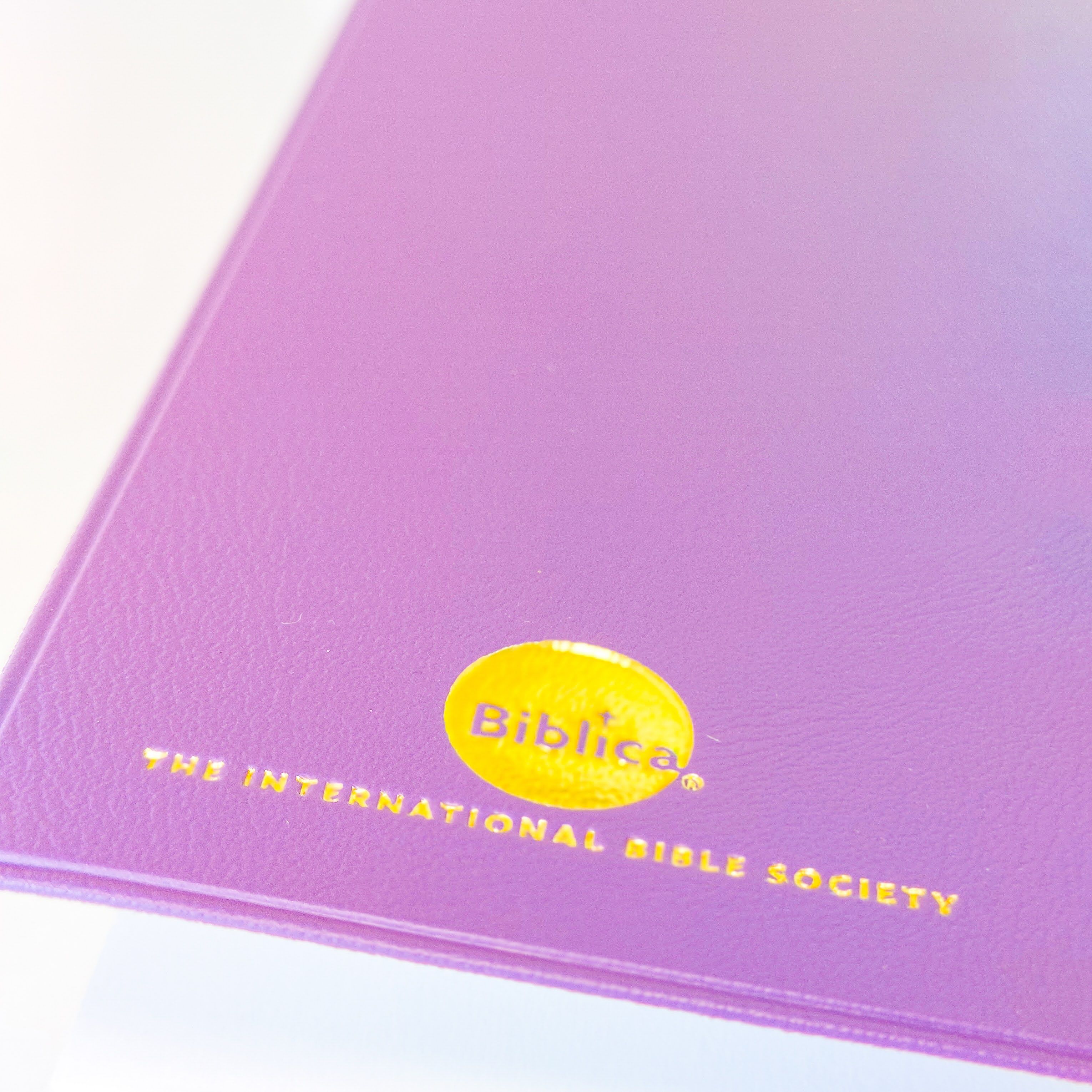 NIV Standard Bible | Purple Vinyl Leather (Gold Lettering) | Christian Bible NIV | The New International Version (NIV) | Gift Idea | Pink Bible | Blue Bible | Bible with Button