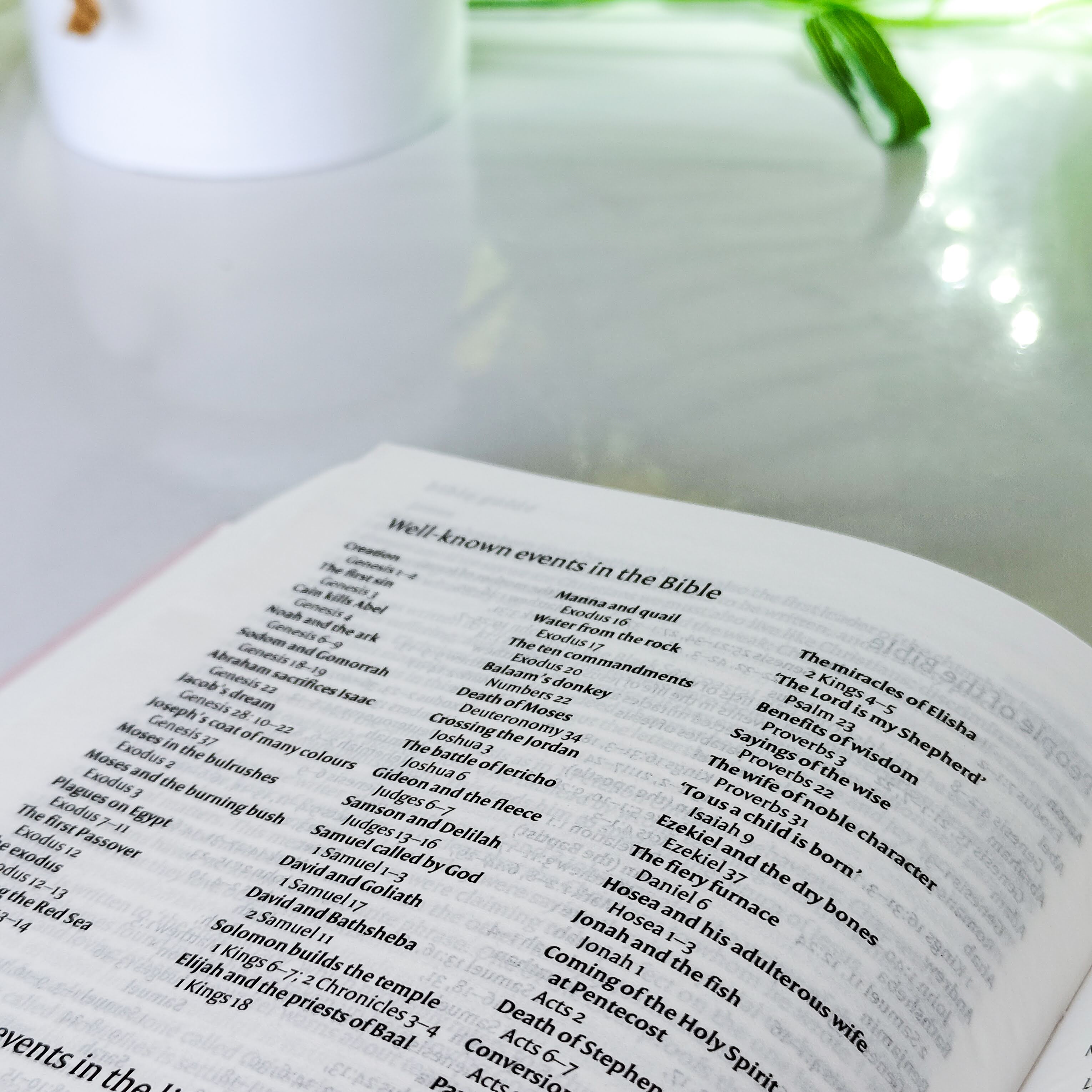 NIV Standard Bible | Purple Vinyl Leather (Gold Lettering) | Christian Bible NIV | The New International Version (NIV) | Gift Idea | Pink Bible | Blue Bible | Bible with Button