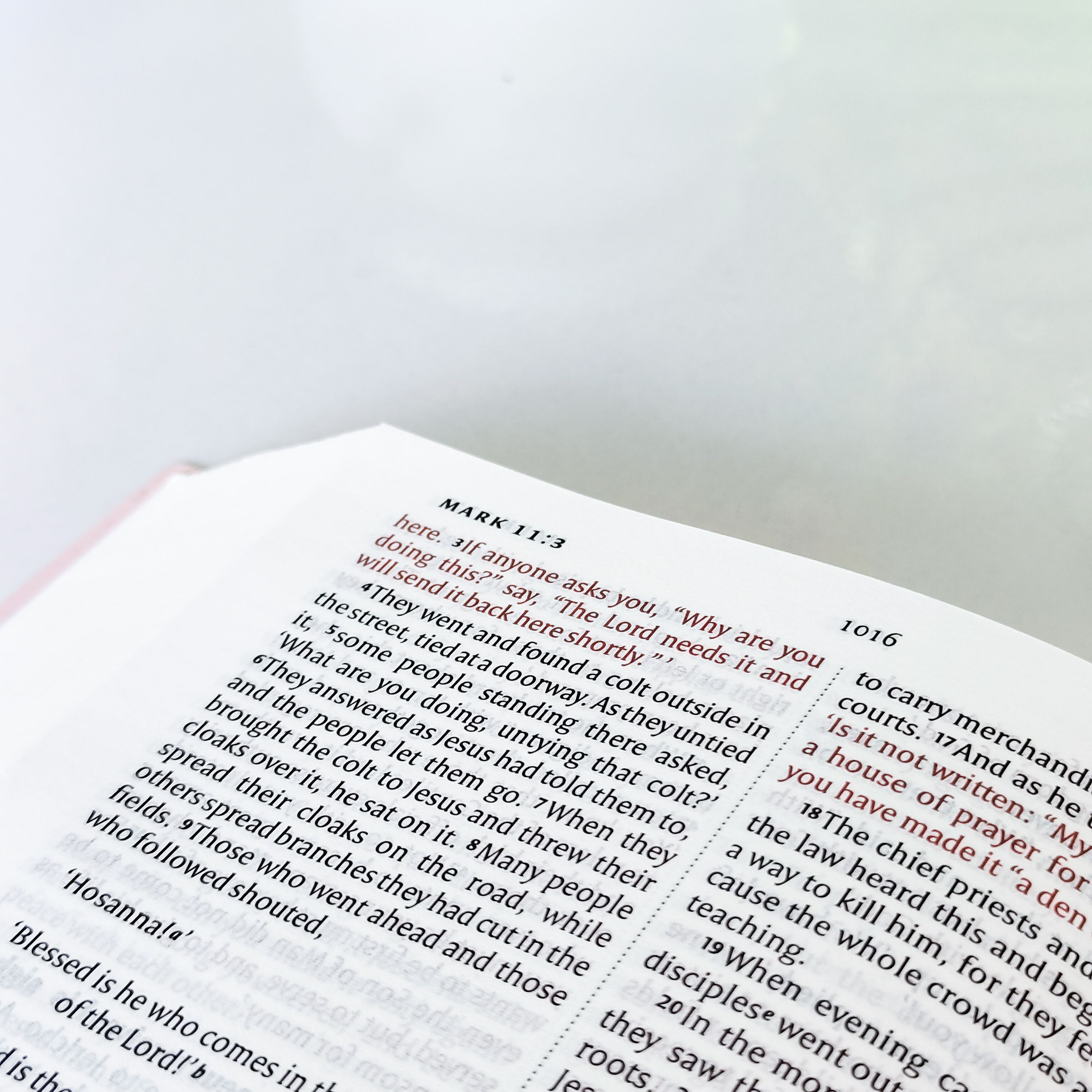 NIV Standard Bible | Purple Vinyl Leather (Gold Lettering) | Christian Bible NIV | The New International Version (NIV) | Gift Idea | Pink Bible | Blue Bible | Bible with Button