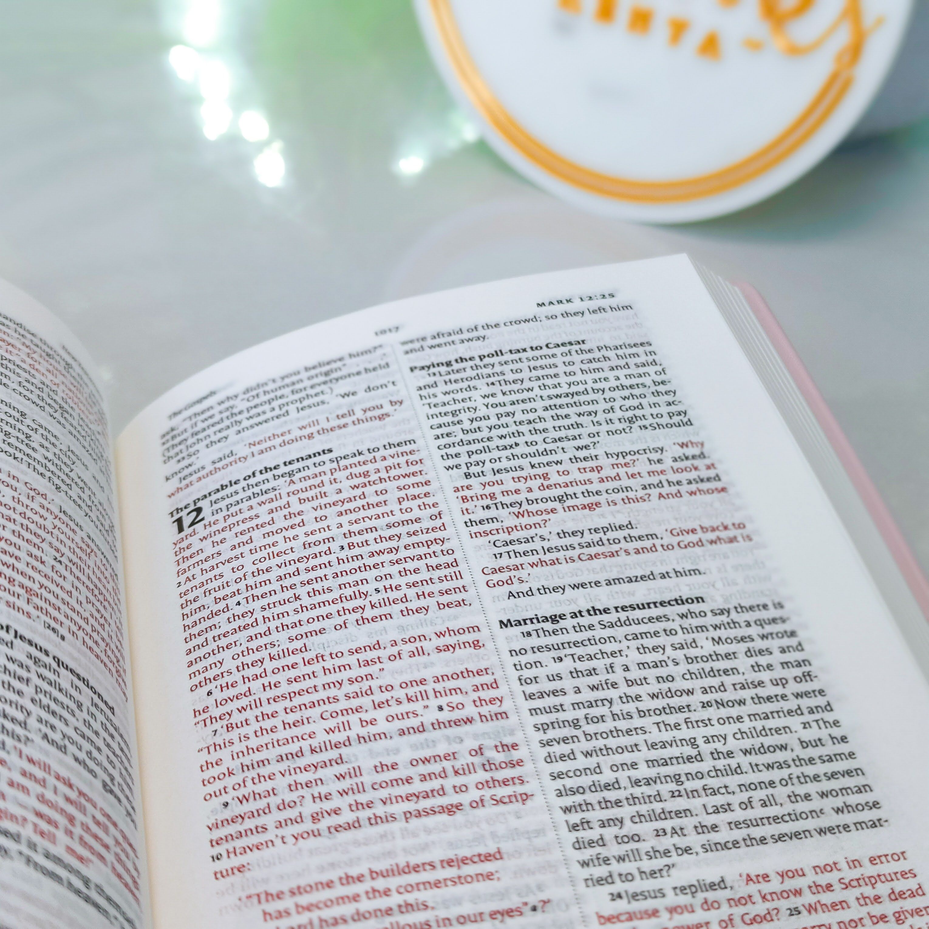 NIV Standard Bible | Purple Vinyl Leather (Gold Lettering) | Christian Bible NIV | The New International Version (NIV) | Gift Idea | Pink Bible | Blue Bible | Bible with Button