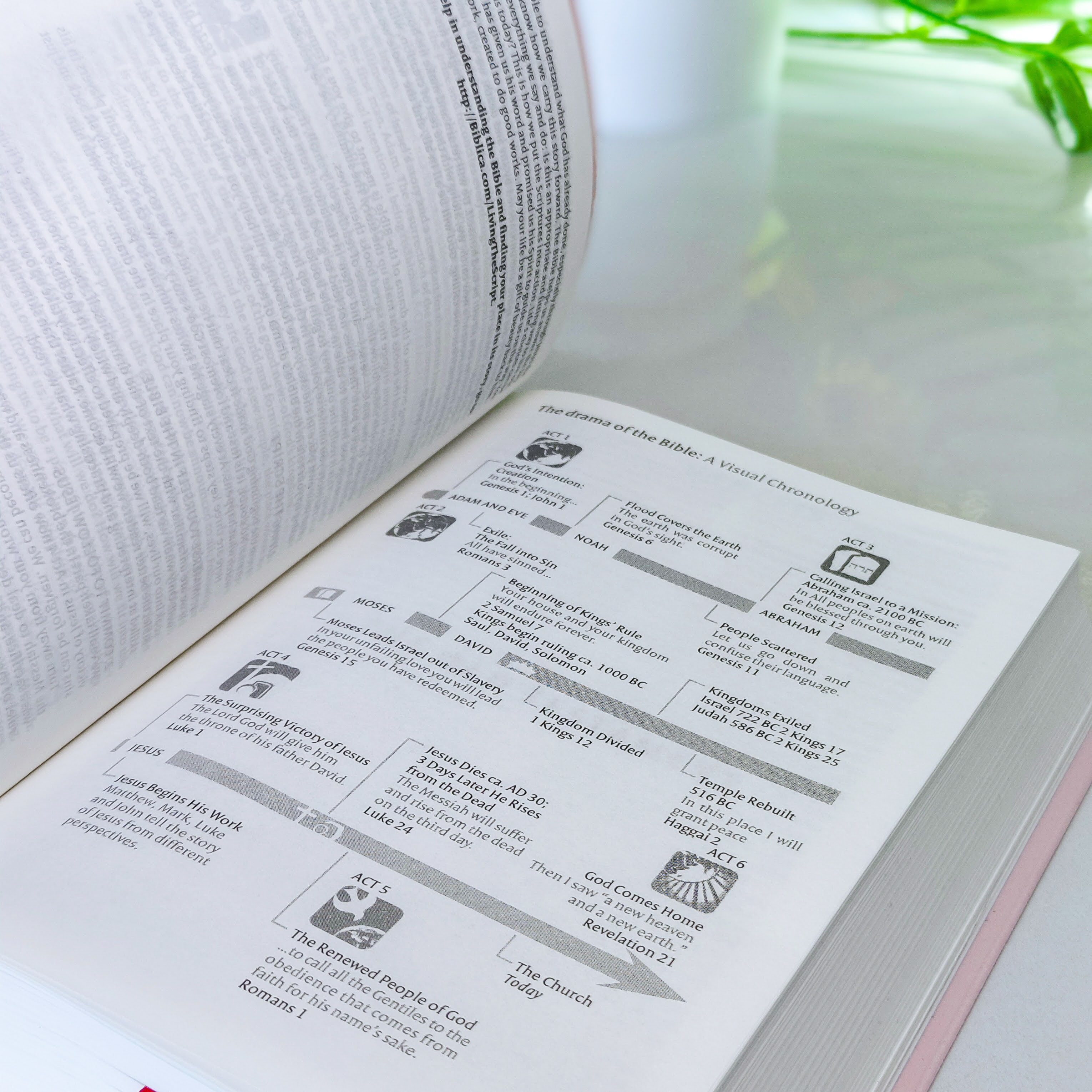 NIV Standard Bible | Purple Vinyl Leather (Gold Lettering) | Christian Bible NIV | The New International Version (NIV) | Gift Idea | Pink Bible | Blue Bible | Bible with Button