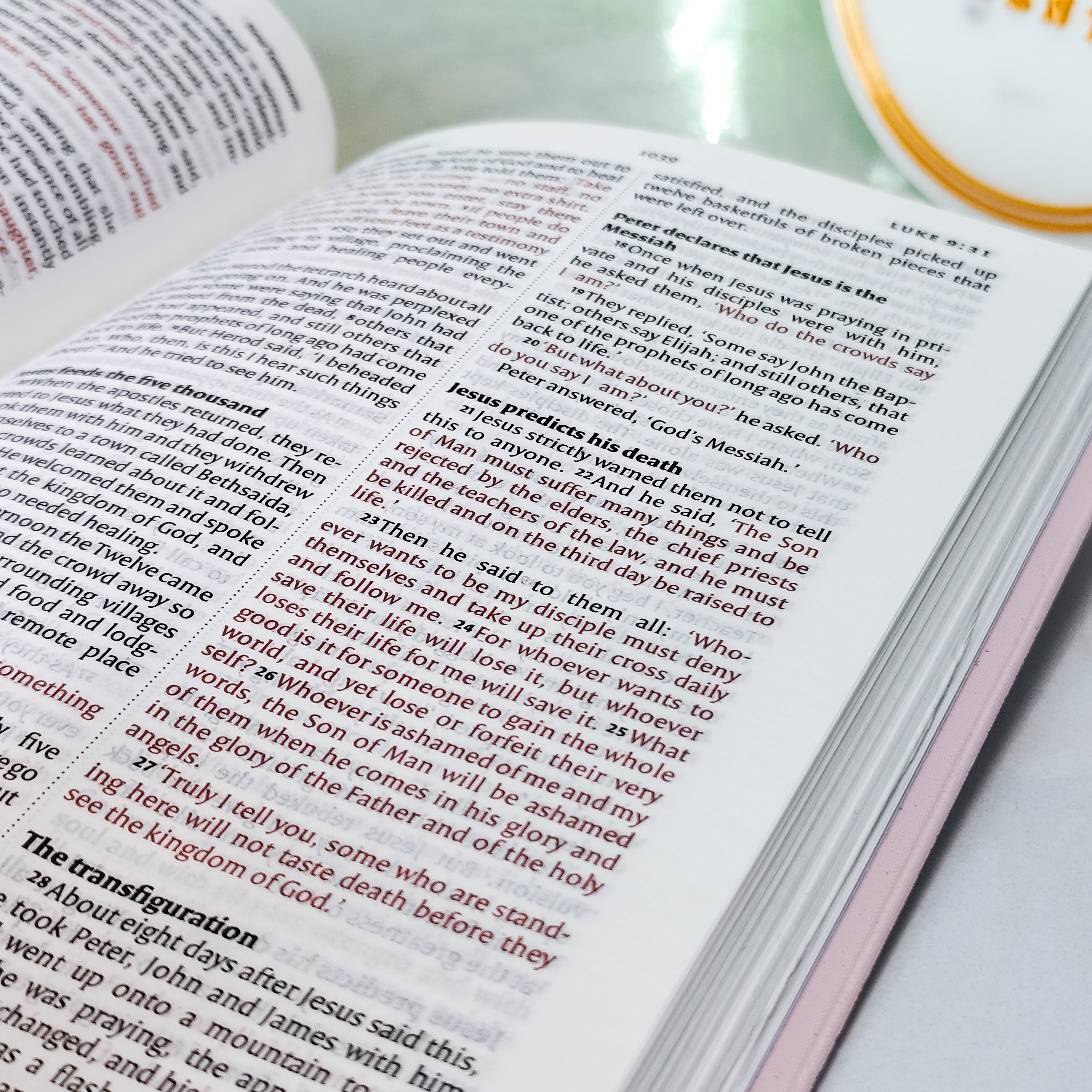 NIV Standard Bible | Purple Vinyl Leather (Gold Lettering) | Christian Bible NIV | The New International Version (NIV) | Gift Idea | Pink Bible | Blue Bible | Bible with Button