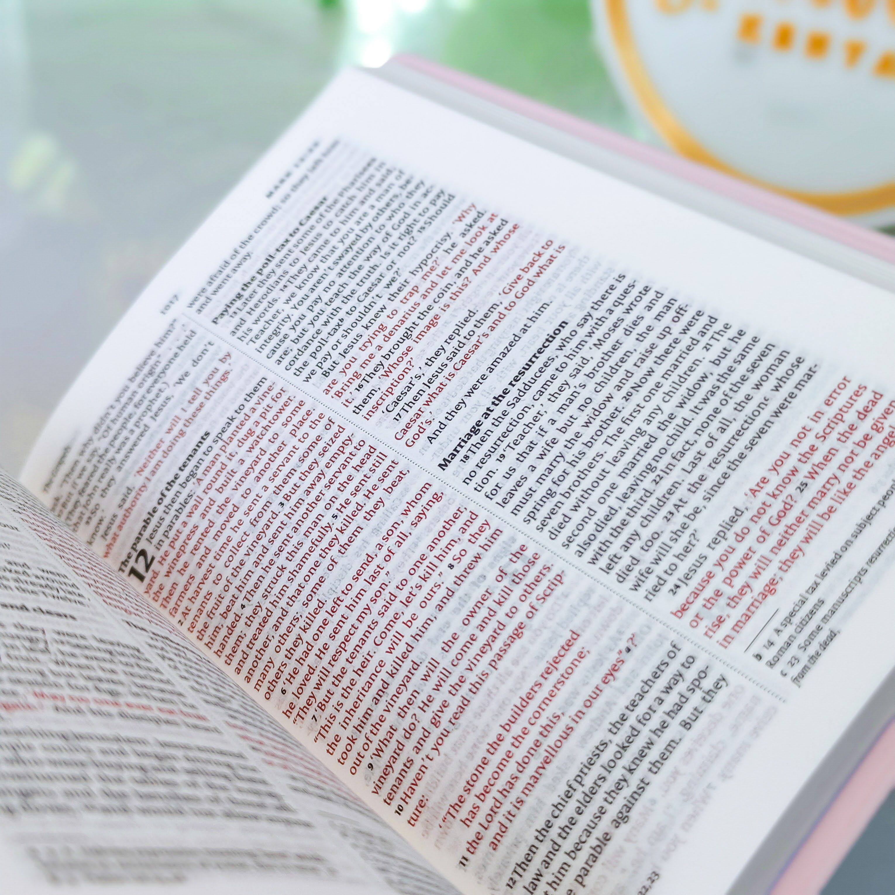 NIV Standard Bible | Purple Vinyl Leather (Gold Lettering) | Christian Bible NIV | The New International Version (NIV) | Gift Idea | Pink Bible | Blue Bible | Bible with Button