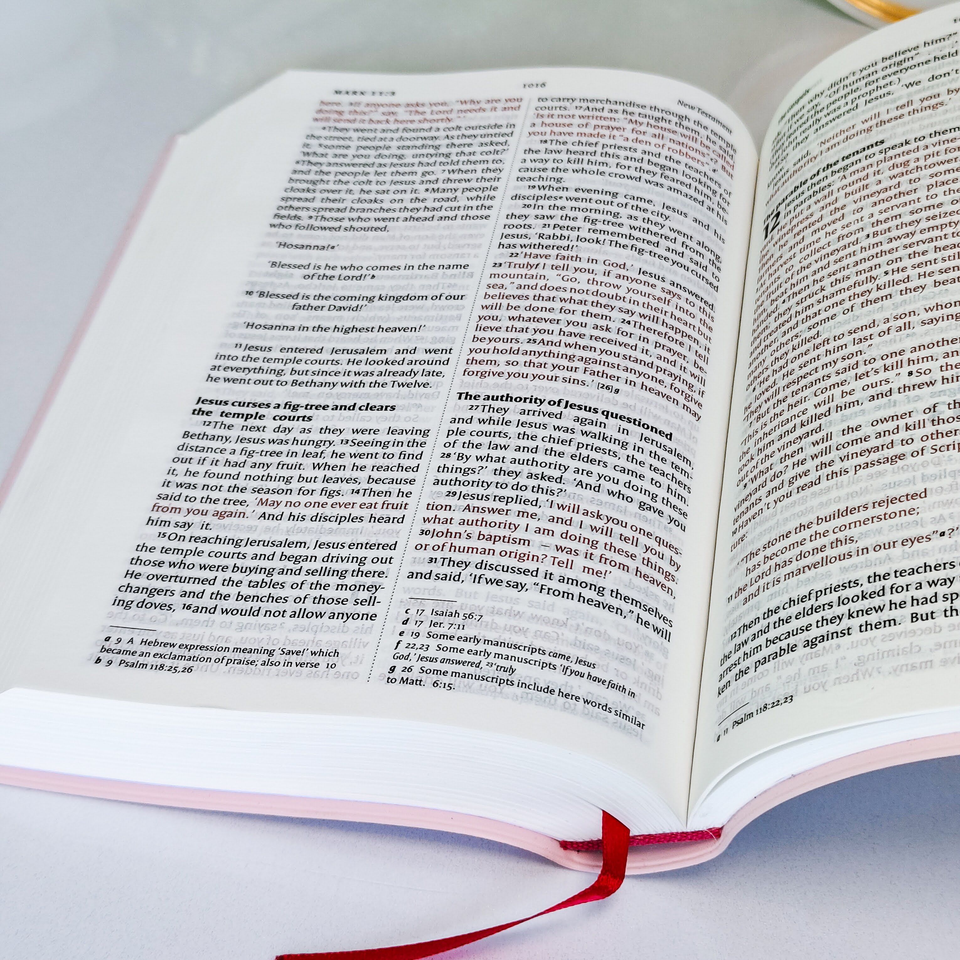 NIV Standard Bible | Purple Vinyl Leather (Gold Lettering) | Christian Bible NIV | The New International Version (NIV) | Gift Idea | Pink Bible | Blue Bible | Bible with Button