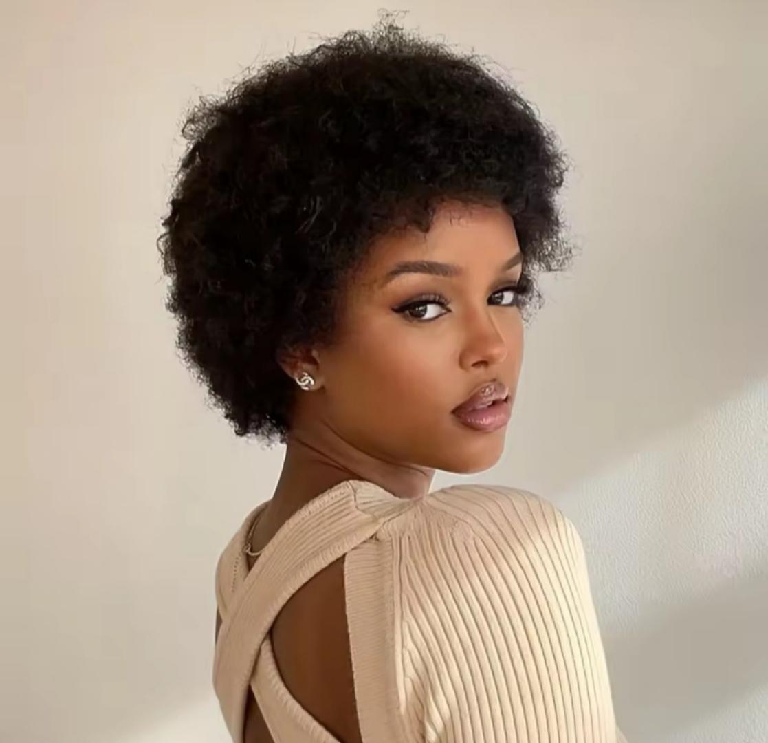 Soft and fluffy natural afro hair wig black