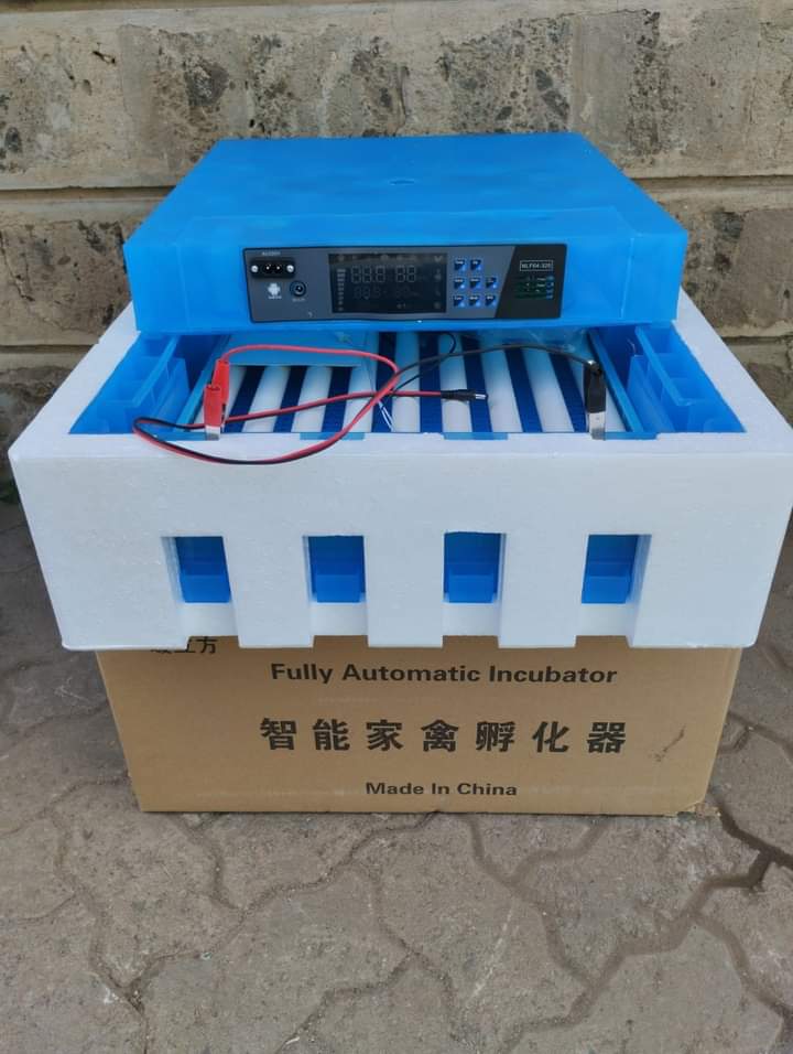 64 EGGS AUTOMATIC INCUBATOR