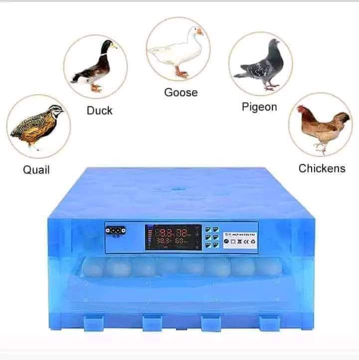 128 EGGS AUTOMATIC  INCUBATOR