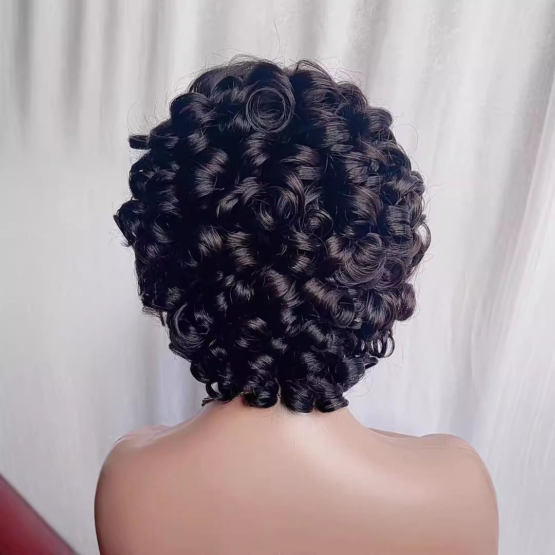 13x4 Lace Front Human Hair Wig for Black Women – Big Curly Glueless Wig, Deep Parting, Natural Look, Long Kinky Curly Wig