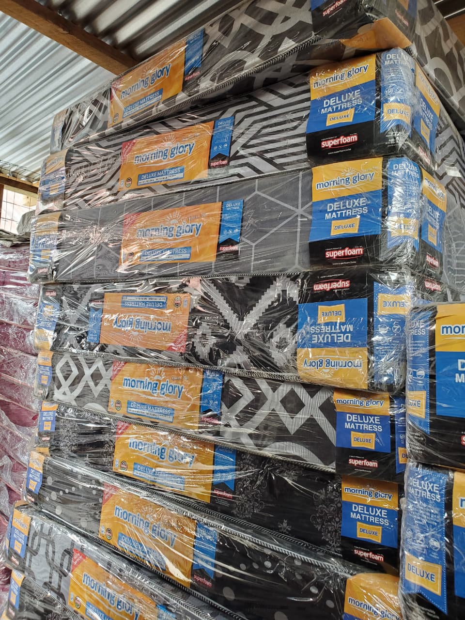 4×6×8 INCH HD plain morning glory superfoam