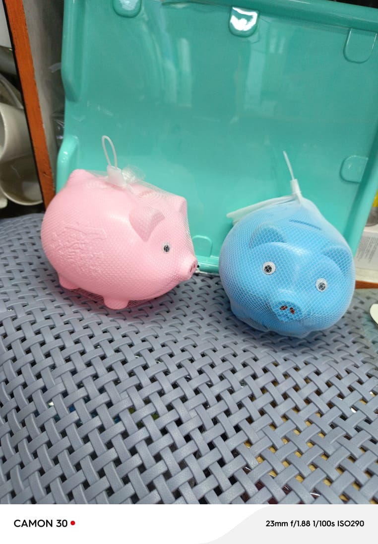 Kids saving piggy bank