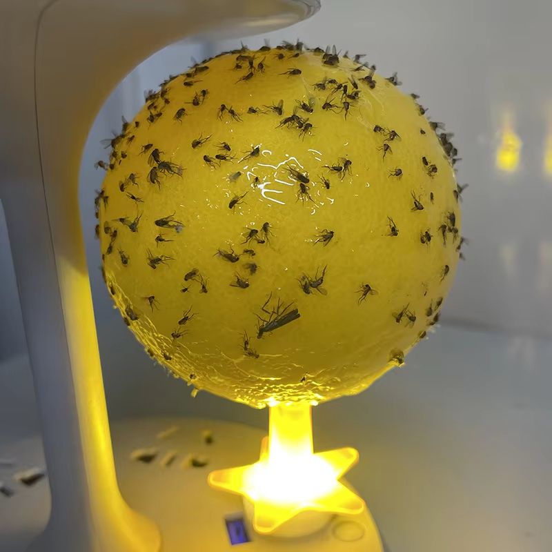 Fruit Fly Traps Flying Insects Trap Ball Fruit Flavor Trap Kitchen Home Sticky Trap For Indoor Outdoor Mosquito Collector