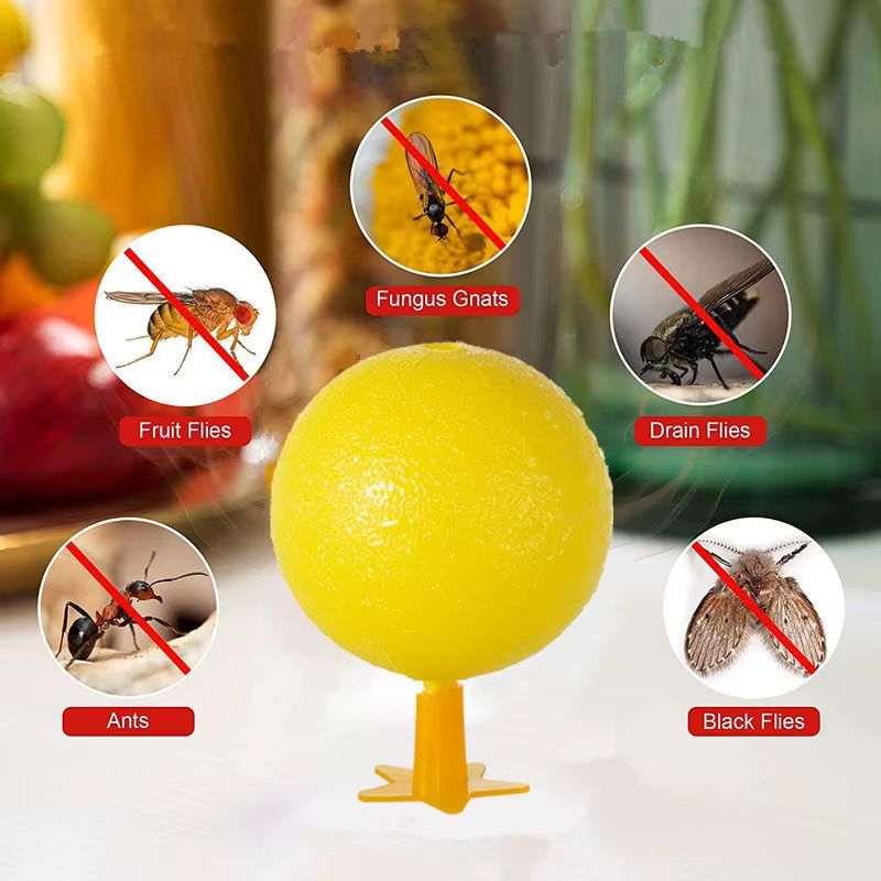 Fruit Fly Traps Flying Insects Trap Ball Fruit Flavor Trap Kitchen Home Sticky Trap For Indoor Outdoor Mosquito Collector
