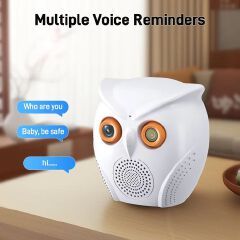Owl Design 5MP WiFi Camera Motion Detection Mini Indoor Camera Color Night Vision Two Way Audio Wireless Security Camera Hidden Cameras