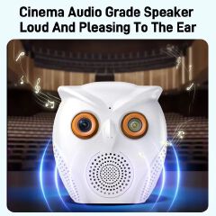Owl Design 5MP WiFi Camera Motion Detection Mini Indoor Camera Color Night Vision Two Way Audio Wireless Security Camera Hidden Cameras