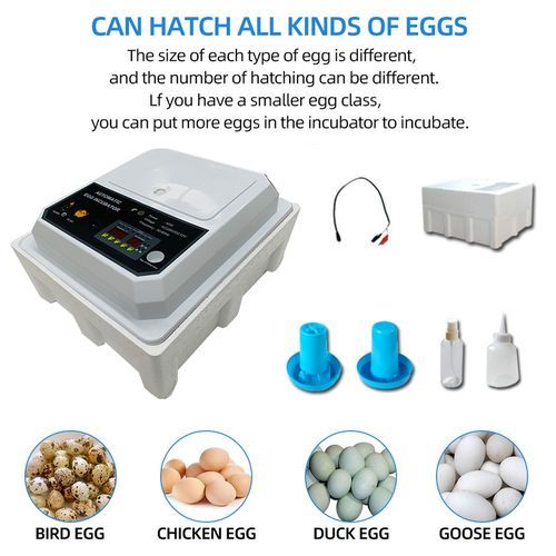 64 eggs Motorised automatic incubator (AC/DC) with humidification, rehydration and temperature control Automatic egg turning Chickens, ducks, geese, quails, quails, rutabagas, pigeons Incubator