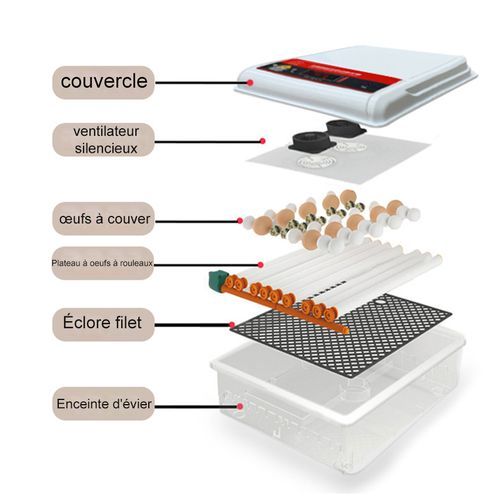 64 eggs Motorised automatic incubator (AC/DC) with humidification, rehydration and temperature control Automatic egg turning Chickens, ducks, geese, quails, quails, rutabagas, pigeons Incubator