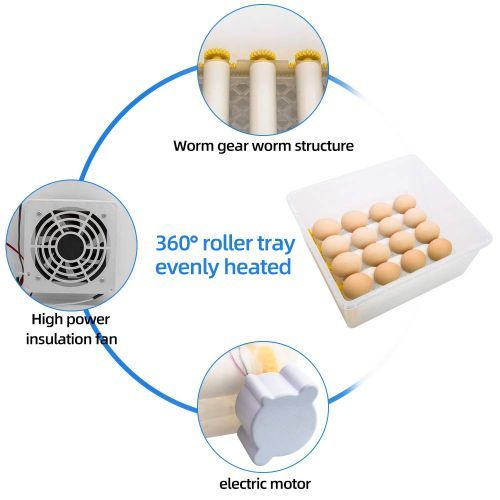 64 eggs Motorised automatic incubator (AC/DC) with humidification, rehydration and temperature control Automatic egg turning Chickens, ducks, geese, quails, quails, rutabagas, pigeons Incubator