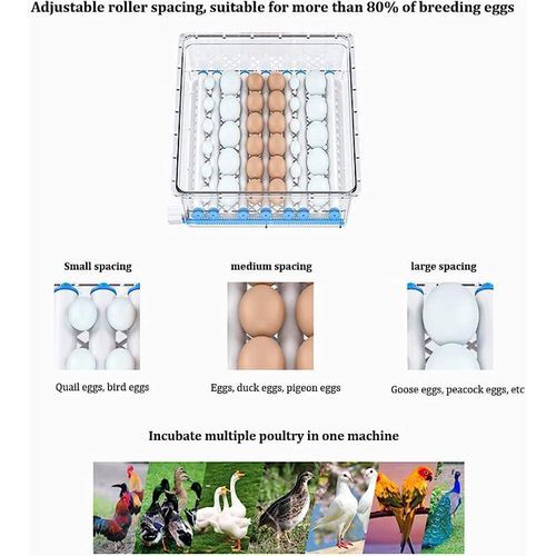 64 eggs Motorised automatic incubator (AC/DC) with humidification, rehydration and temperature control Automatic egg turning Chickens, ducks, geese, quails, quails, rutabagas, pigeons Incubator