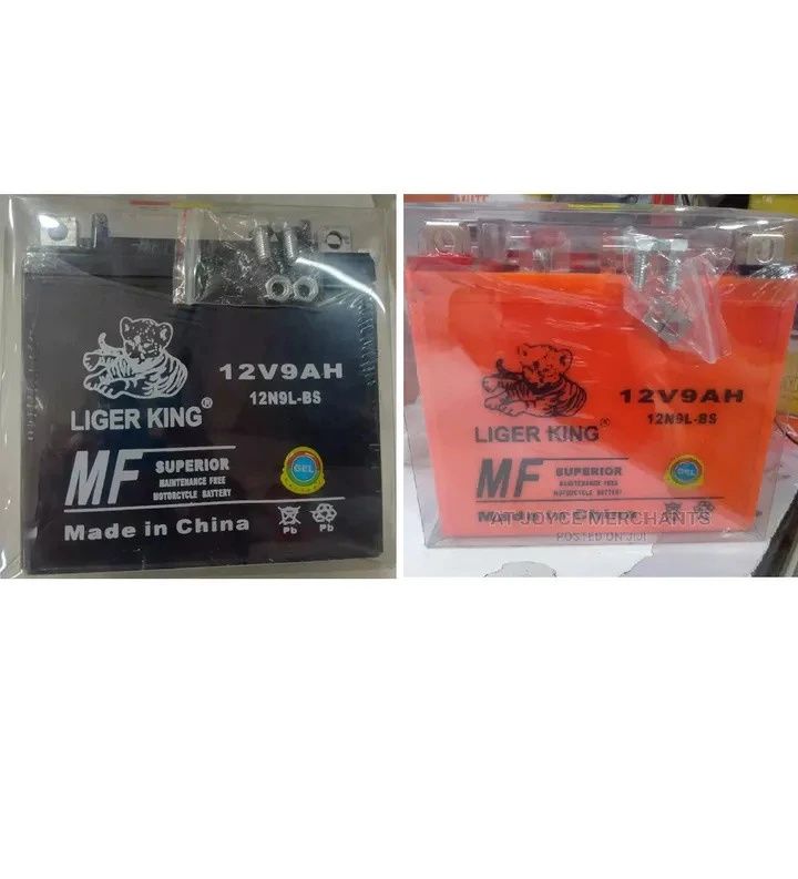 Liger king Maintenance Free Motorcycle 12V9Ah Battery As Photo