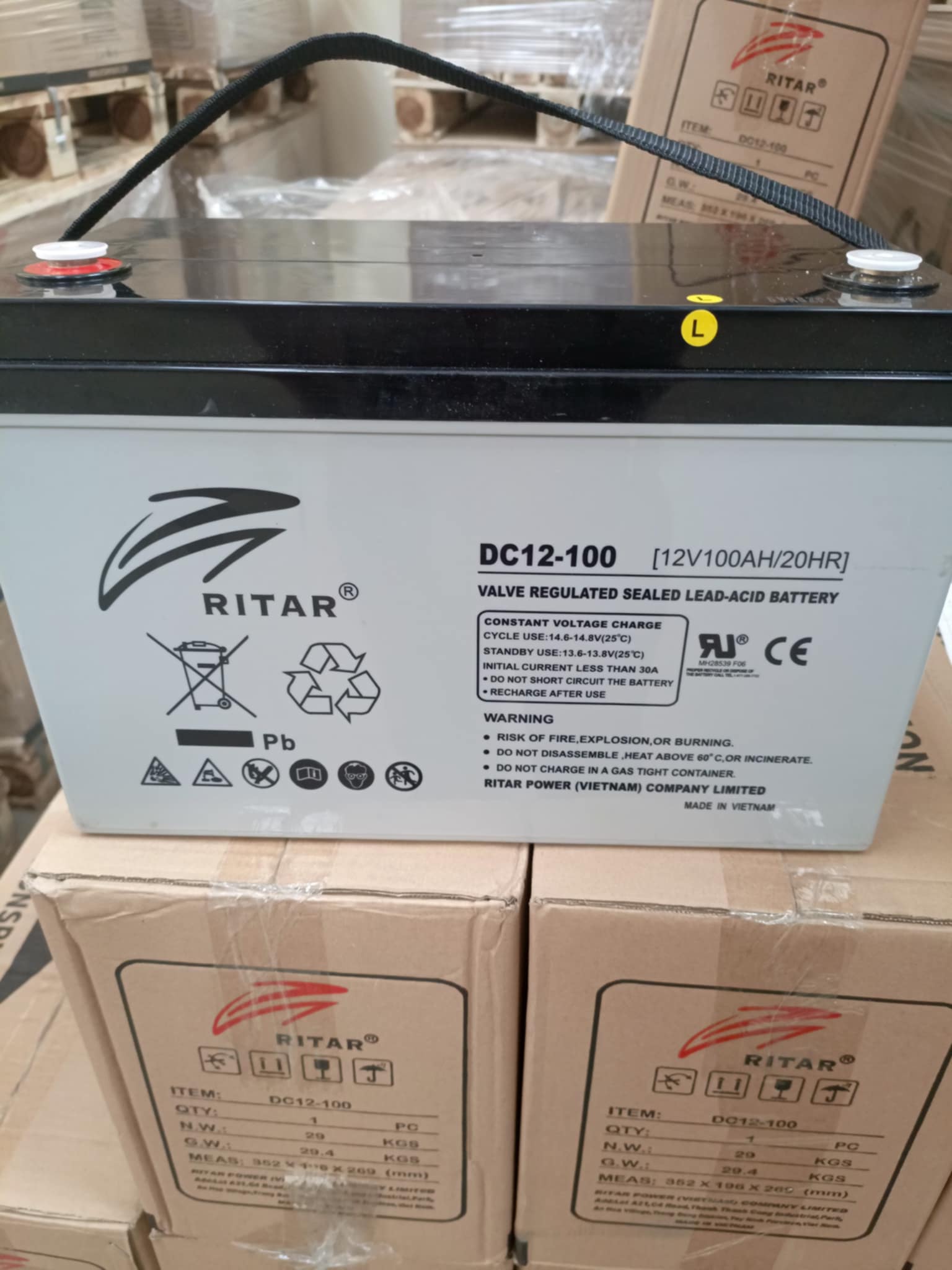 Ritar DC Lead Acid Battery 100Ah 12V