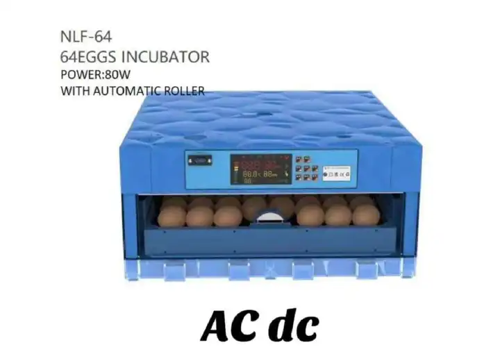 🐣 Automatic Egg Incubator NLF Series – 64 Eggs 🥚 with Digital Display 🔄 AC/DC Dual Power + Auto Roller