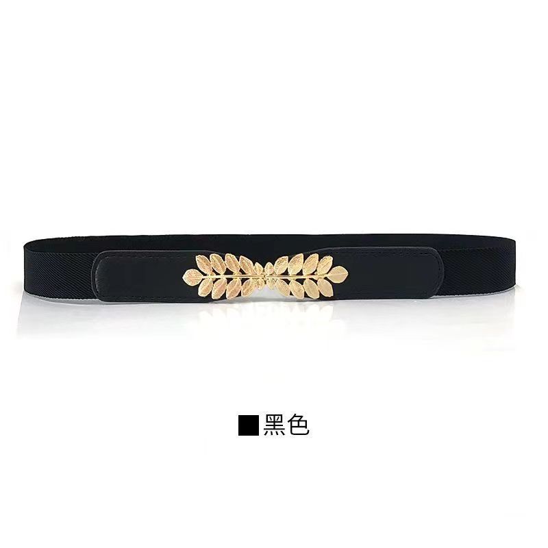 Decorative dress belt, women's thin waist, versatile, fashionable elastic belt, Korean version with skirt, young student fashion belt