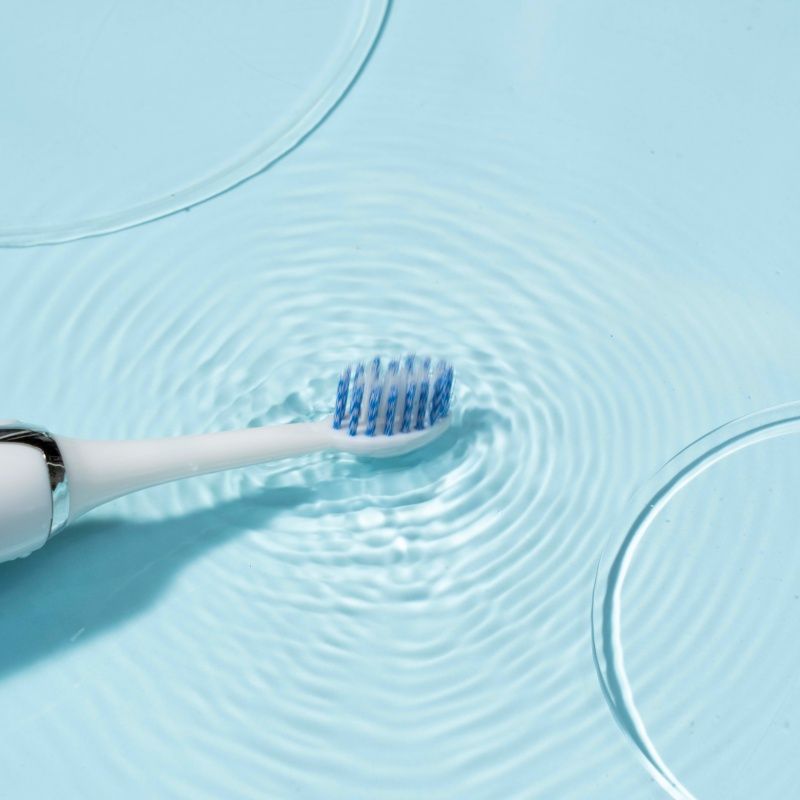 Adult electric toothbrush Waterproof sonic battery electric toothbrush