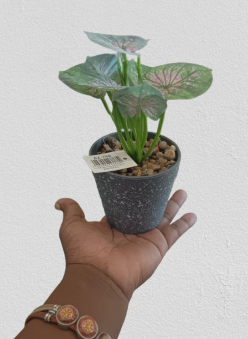 artificial plant gift potted flower with stones for office Airbnb home