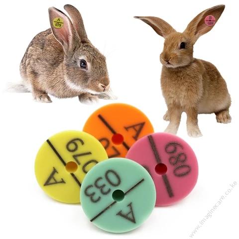 Rabbit Ear Tag 1pc