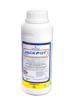 Jackpot 50EC 1L