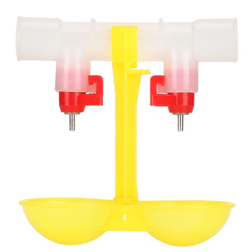 Chicken Automatic Drinker Double cups
