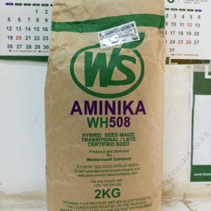 Aminika 2kg -maize seeds