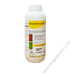 Golden leaf 1l