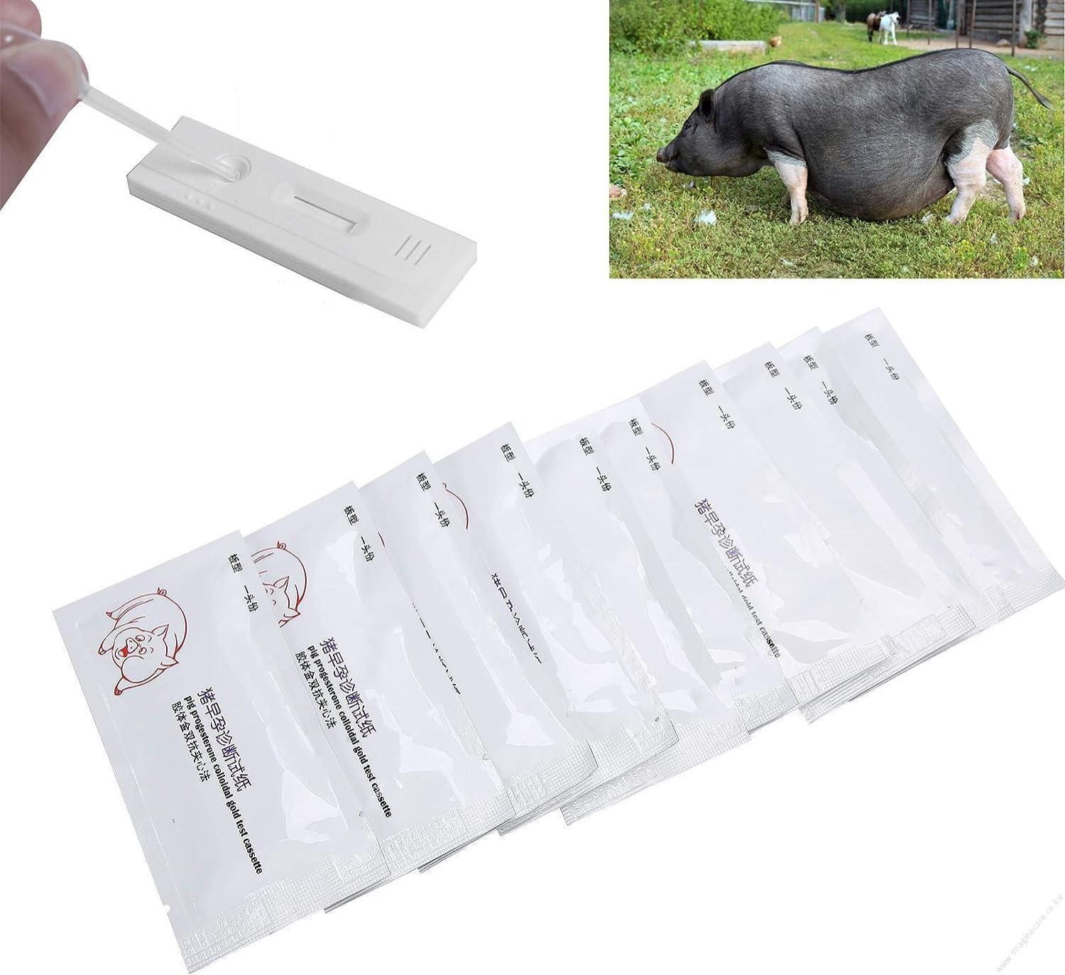 Pig Pregnancy Test Kits